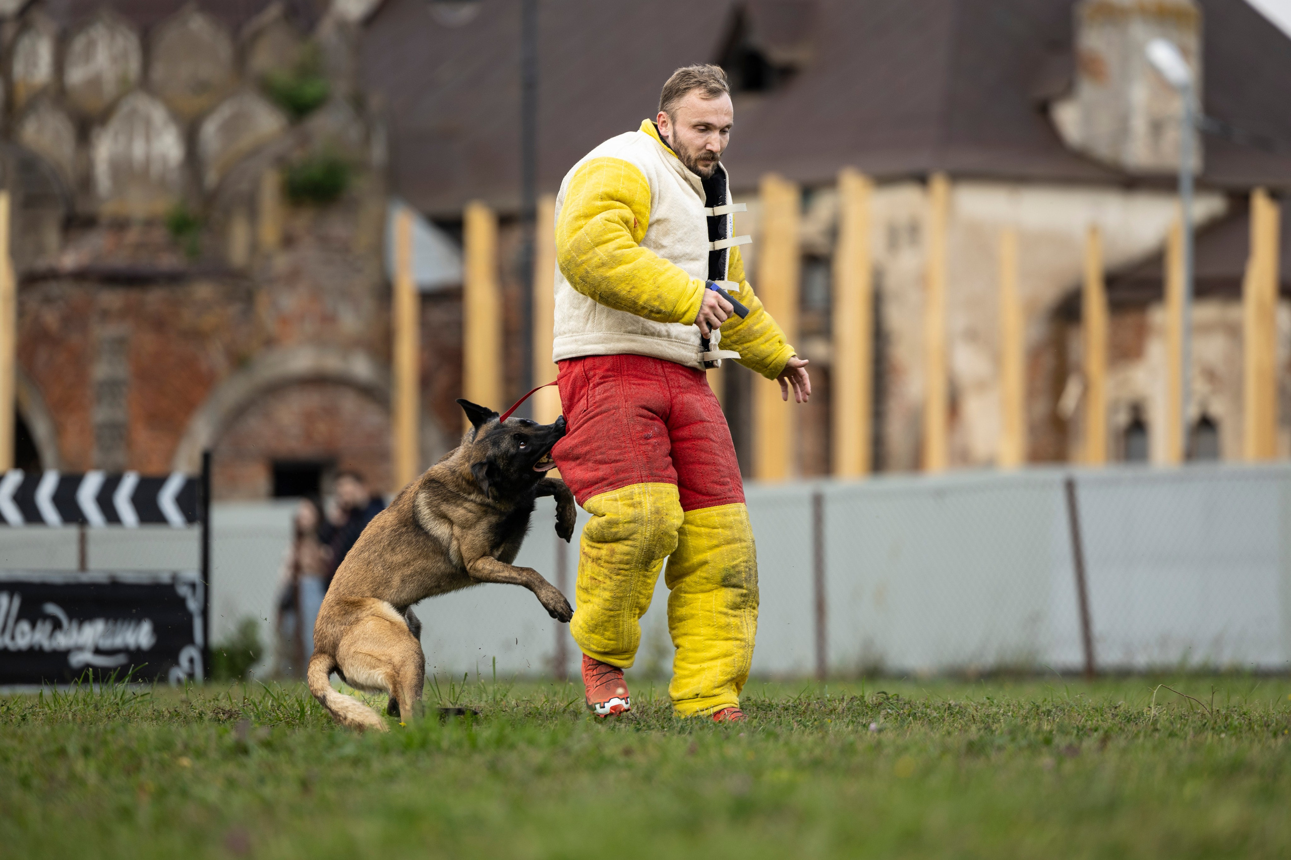 Испытания по Мондьорингу г. Пушкин. Фотограф-анималист Анна Маринич