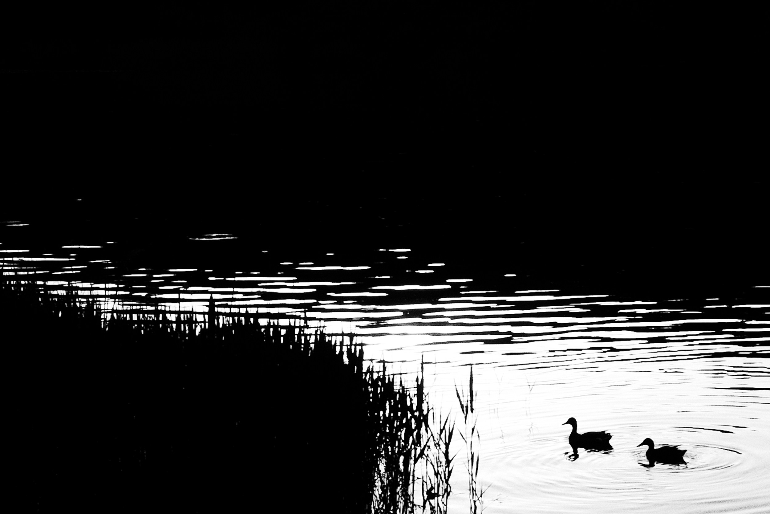 Самые черные фотографии. Артём Линейцев, фотограф