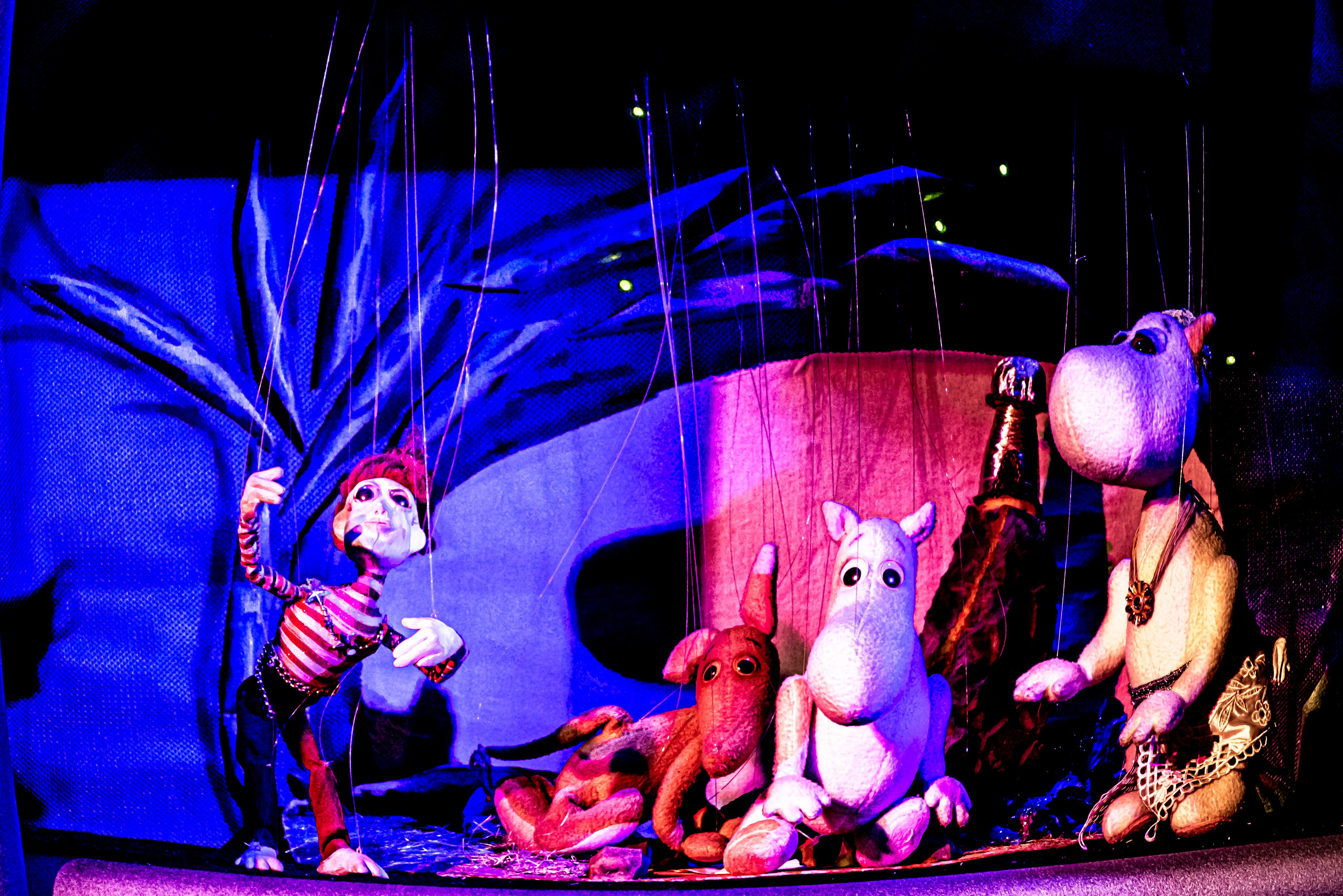 «Муми тролли и большое наводнение». Фотограф в Сочи Юрий Шептаев