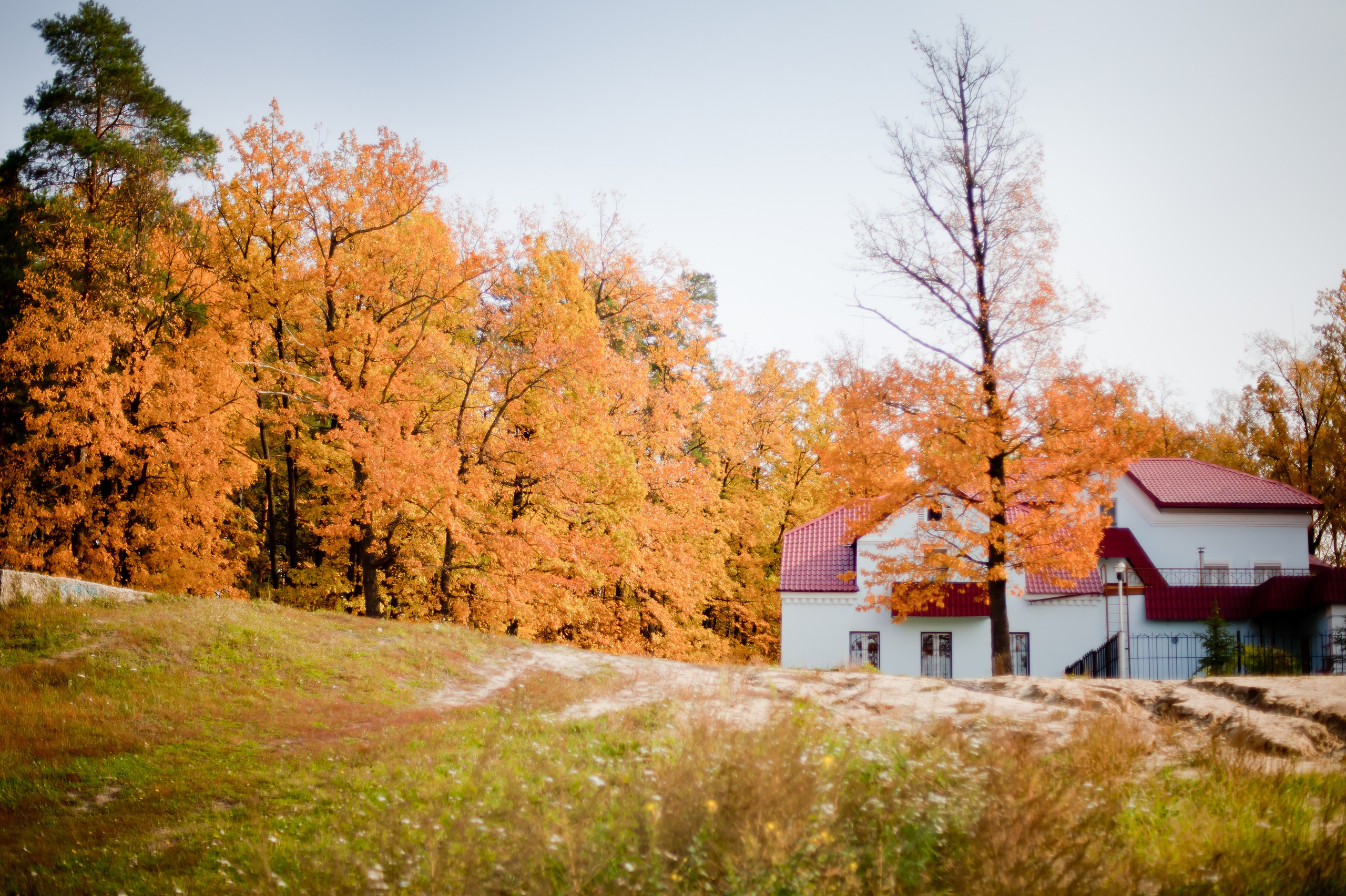 Красота Заречного. Репортажный, семейный и детский фотограф в Пензе и Заречном Арина Ермилова. Картины барельеф на заказ