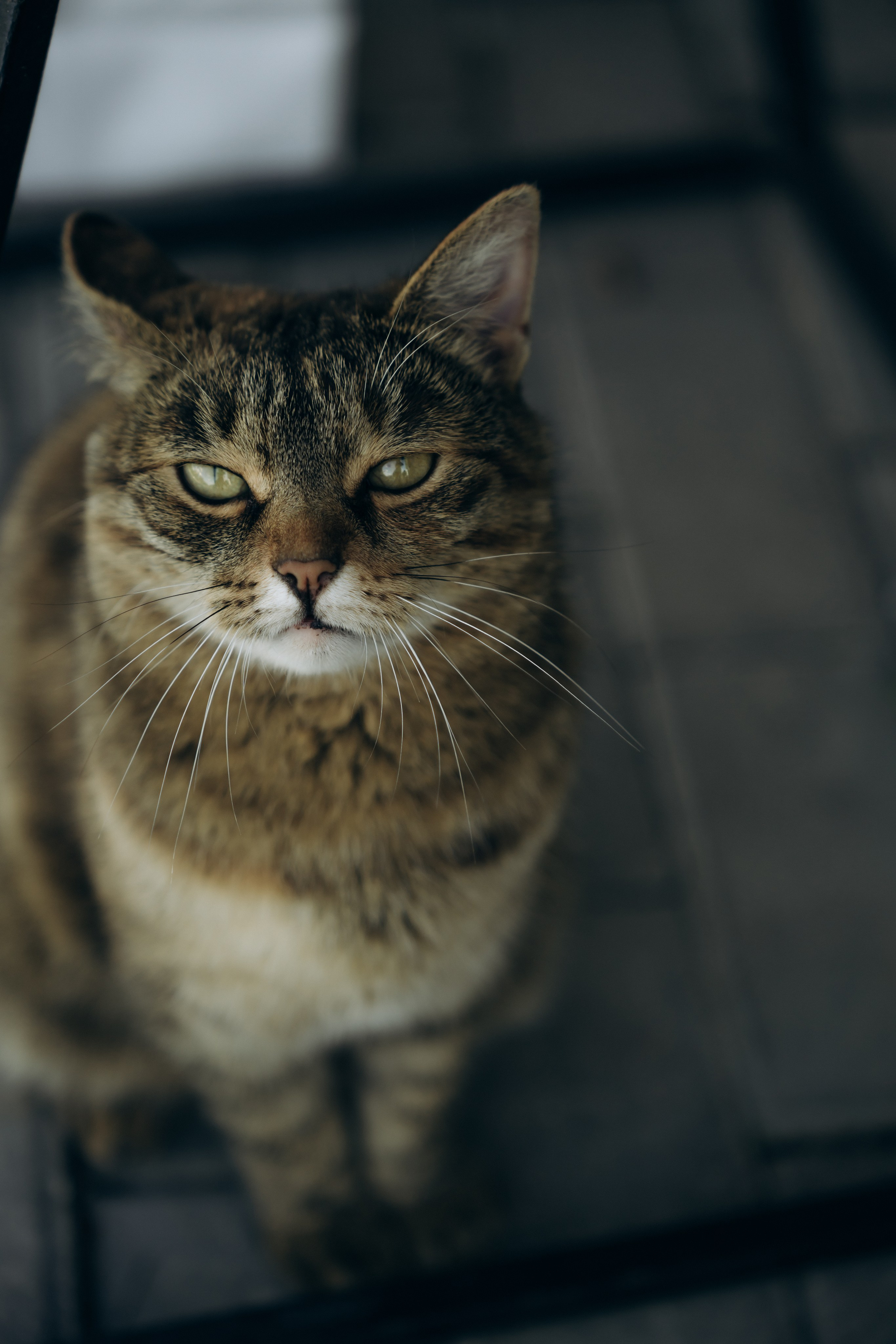 Руслан и Марина. Полный день. Ирина Гонтарева|Фотограф|Белгород