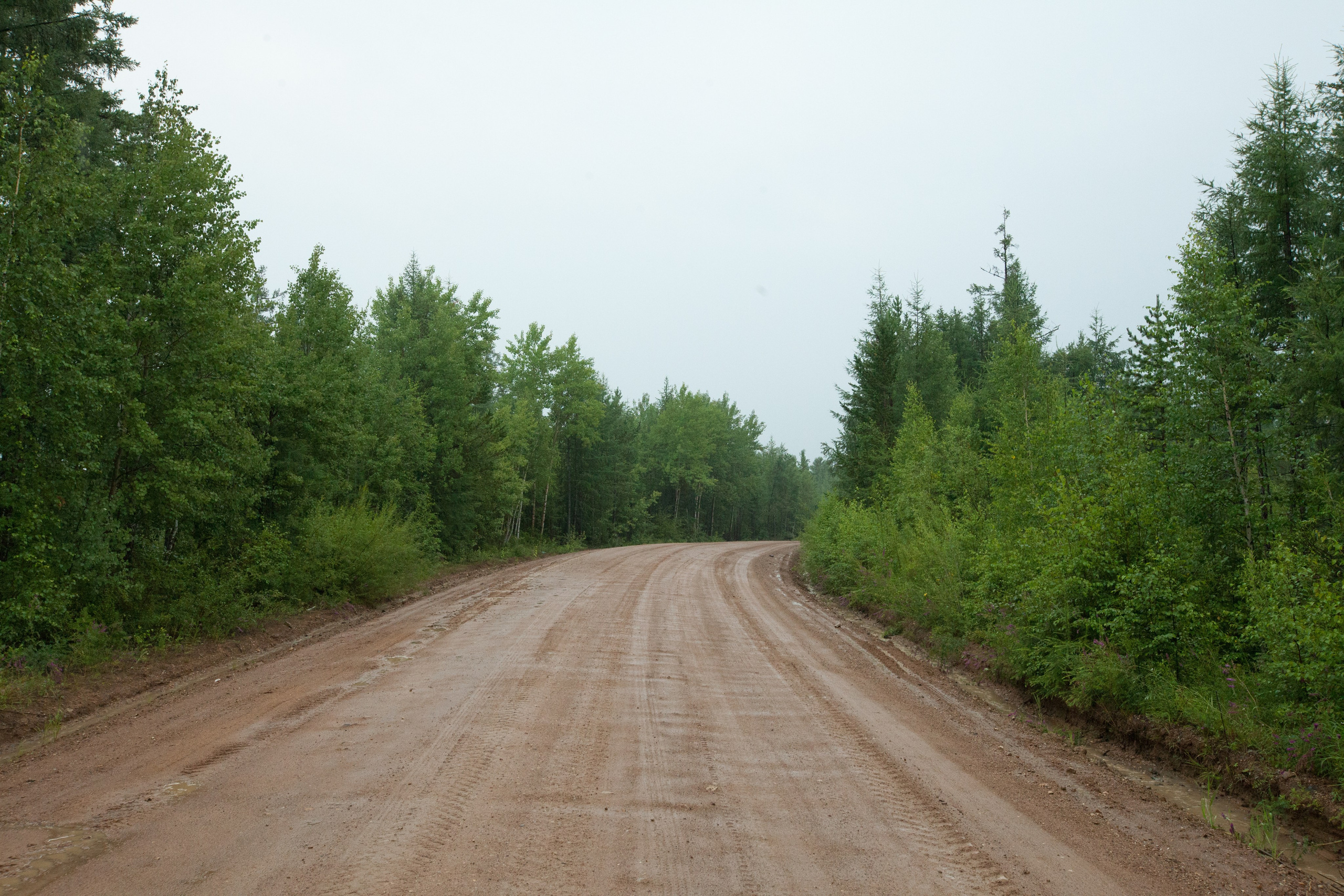 Фото Природы Забайкалья. Студия Максима Белослюдцева