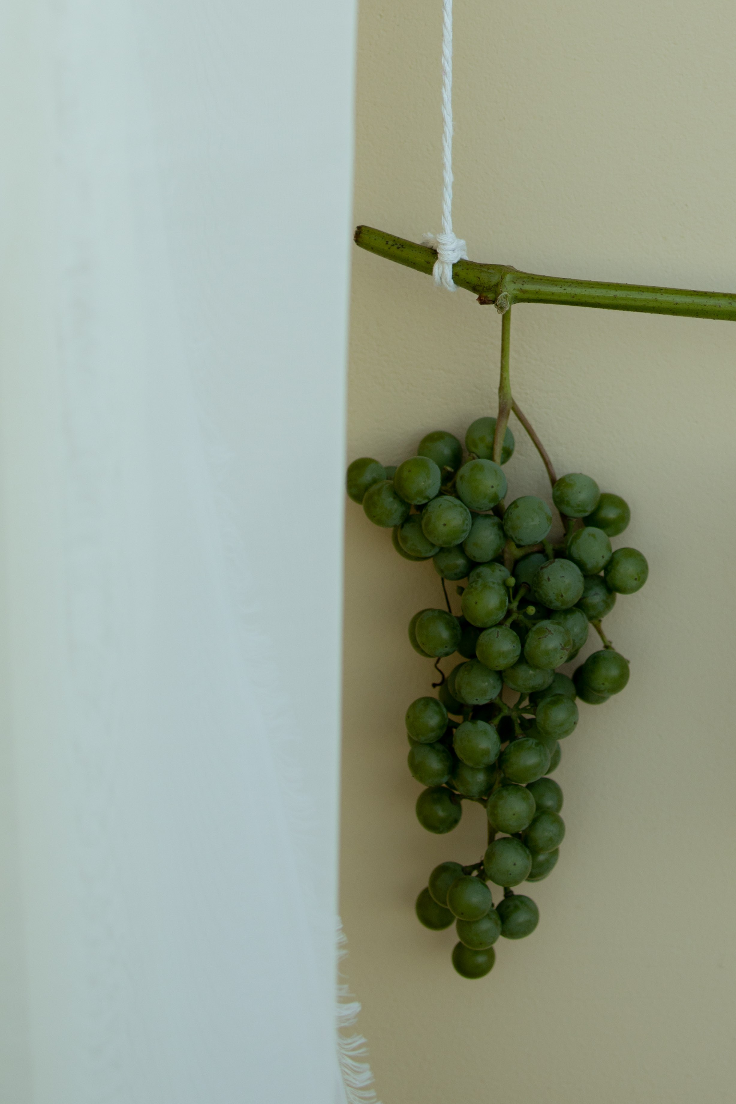 ДР Дианы. Пекин. Оформление свадеб, декор свадеб Вера Маркова, Москва