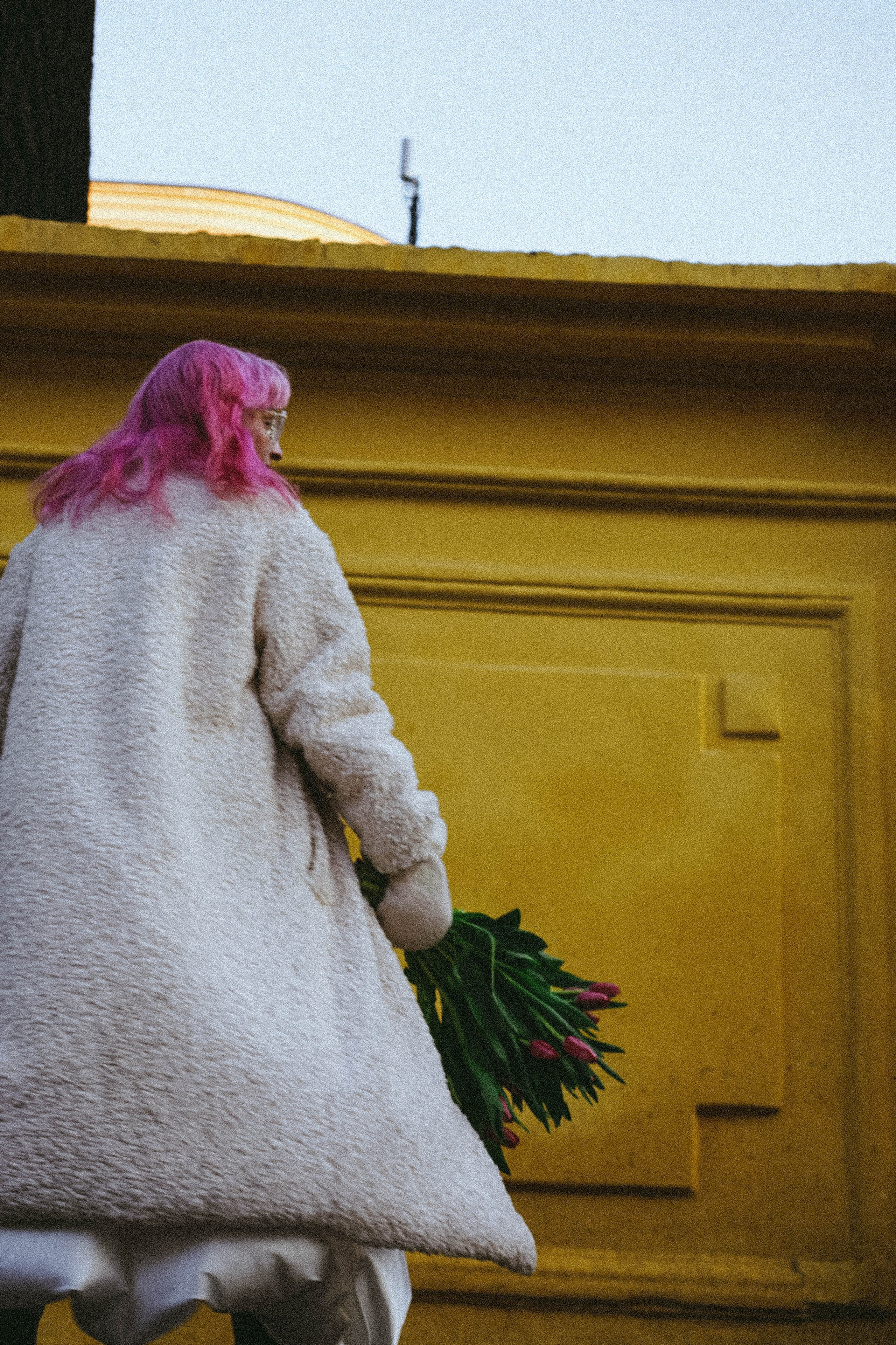 Тюльпаны. Профессиональный фотограф, Санкт-Петербург — Виктория Богомолова