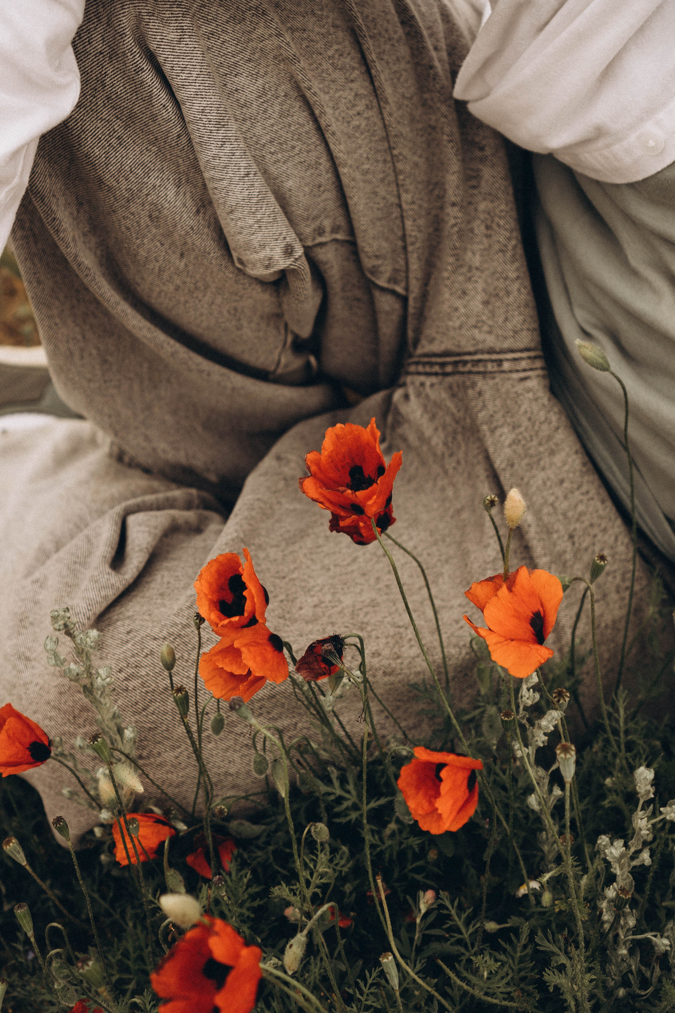 Маки. Профессиональный фотограф, Санкт-Петербург — Виктория Богомолова