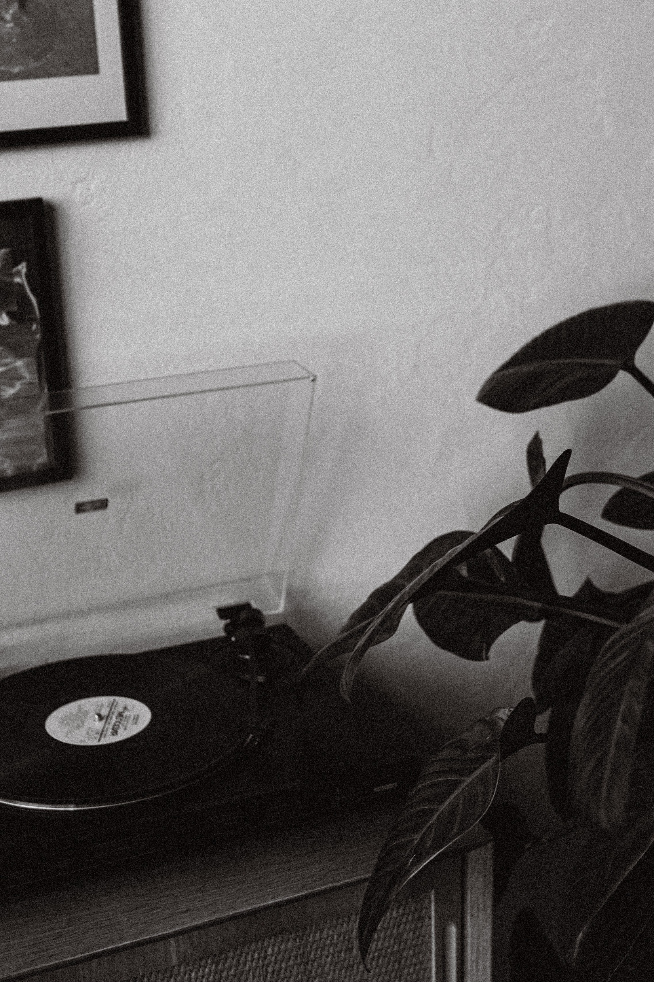 Вика и Даниэль. Фотограф Челябинск Юлия Ермакова