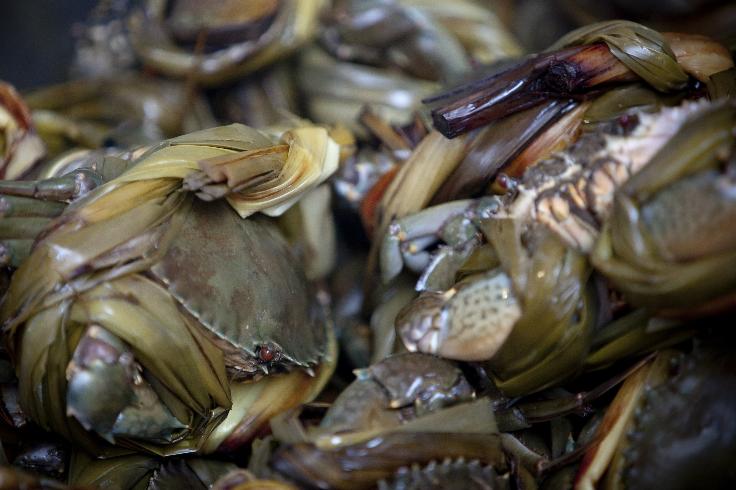 Гонконг. Фотография, ретушь, сканирование, восстановление старых фото, интерьерная съёмка, студия. Данилов Александр, Москва