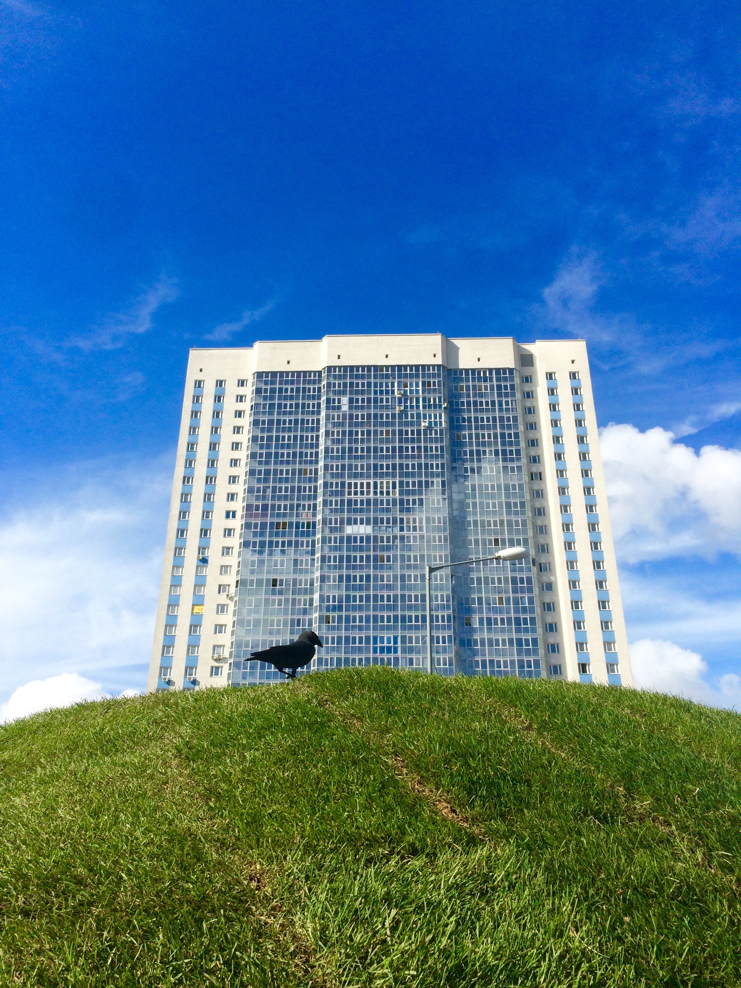 Снято на телефон. Фотография, ретушь, сканирование, восстановление старых фото, интерьерная съёмка, студия. Данилов Александр, Москва