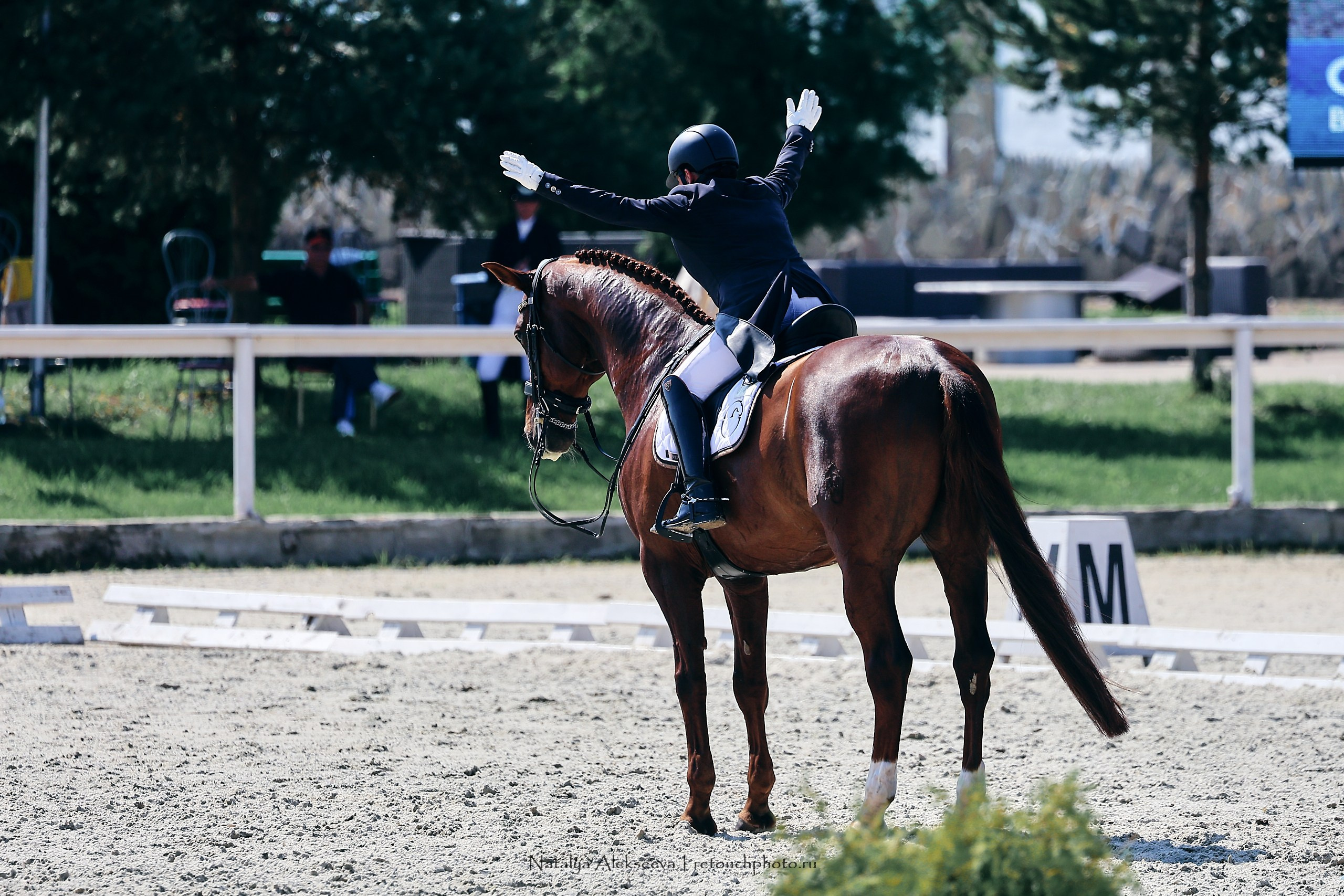 Личный ЧР по выездке, КСК Конаковские конюшни | 08'2023. Репортажный фотограф и ретушер в Москве Наталья Алексеева