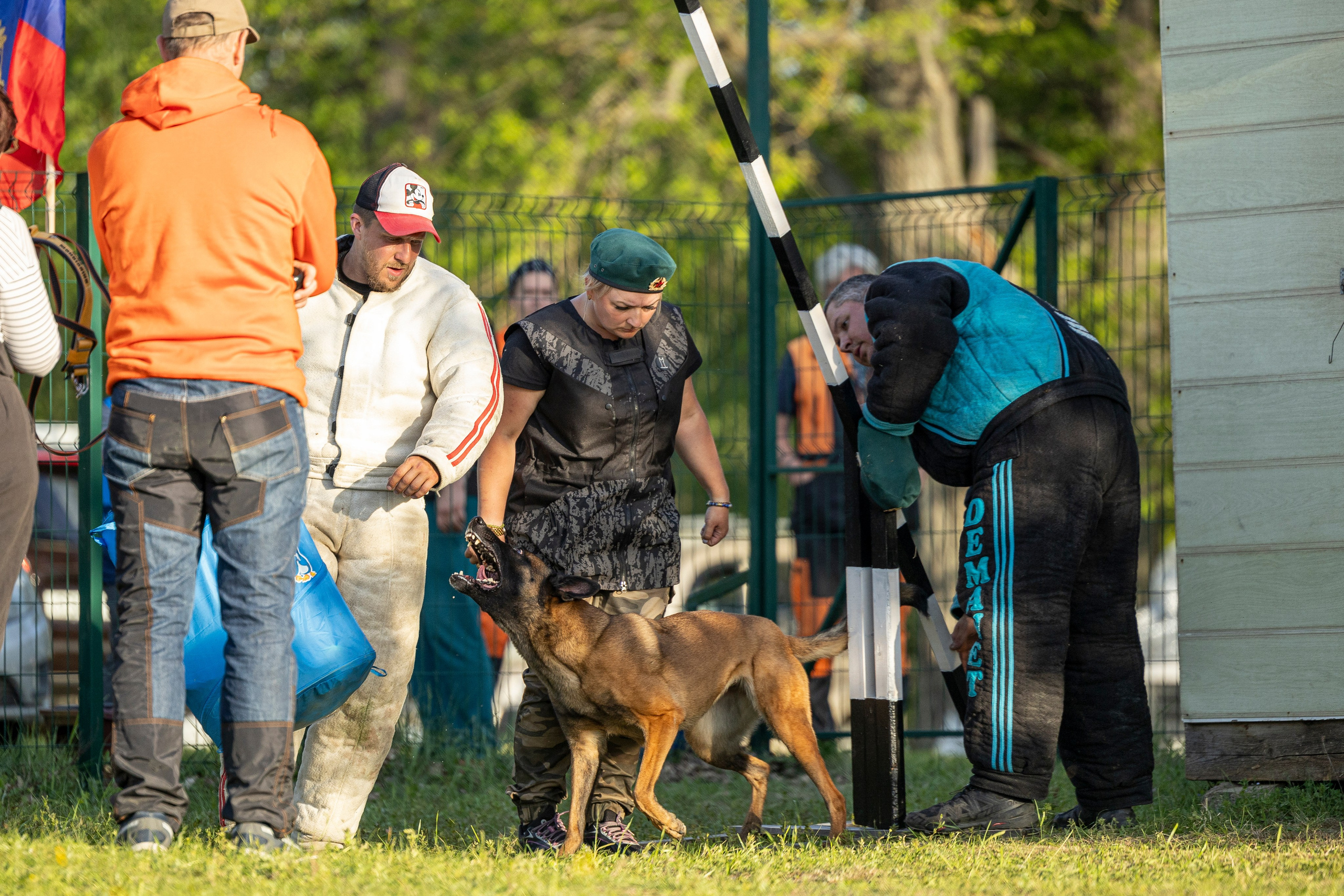 Испытания по мондьорингу в Нижнем Новгороде. Фотограф-анималист Анна Маринич