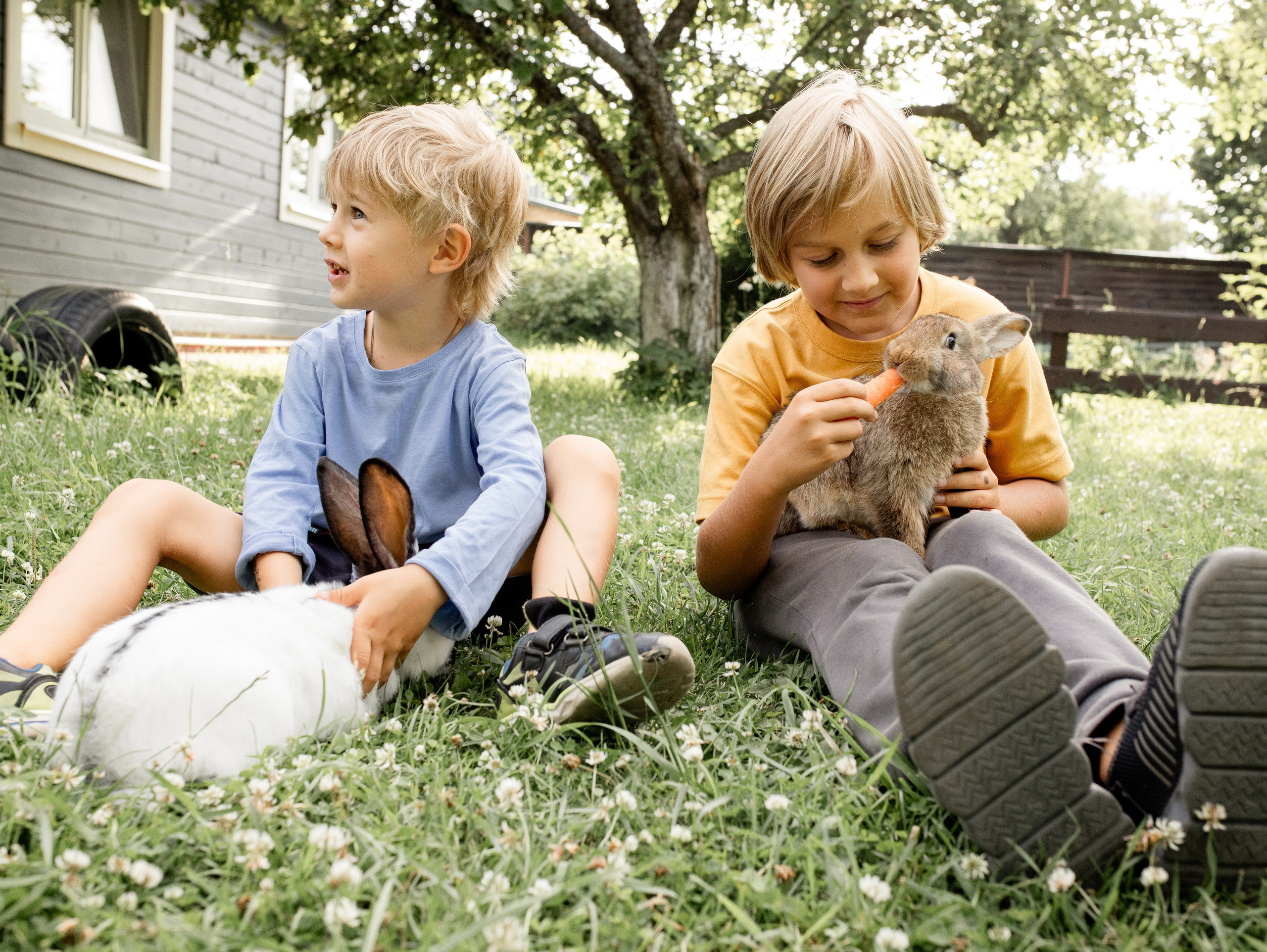 Кролики 2023. Семейный фотограф в Санкт-Петербурге Ирина Иванова