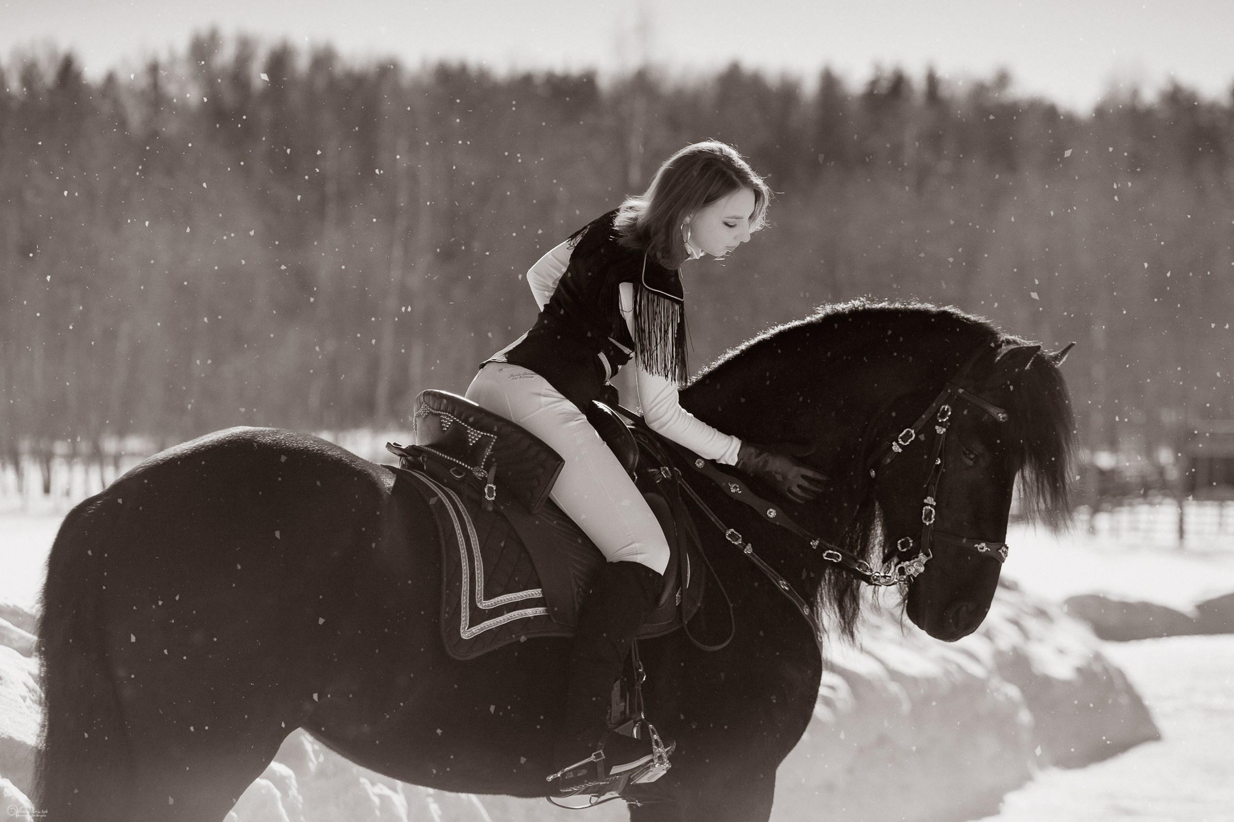 Фотосессии с лошадьми зимой. Фотограф женский и мужской портрет Санкт-Петербург
