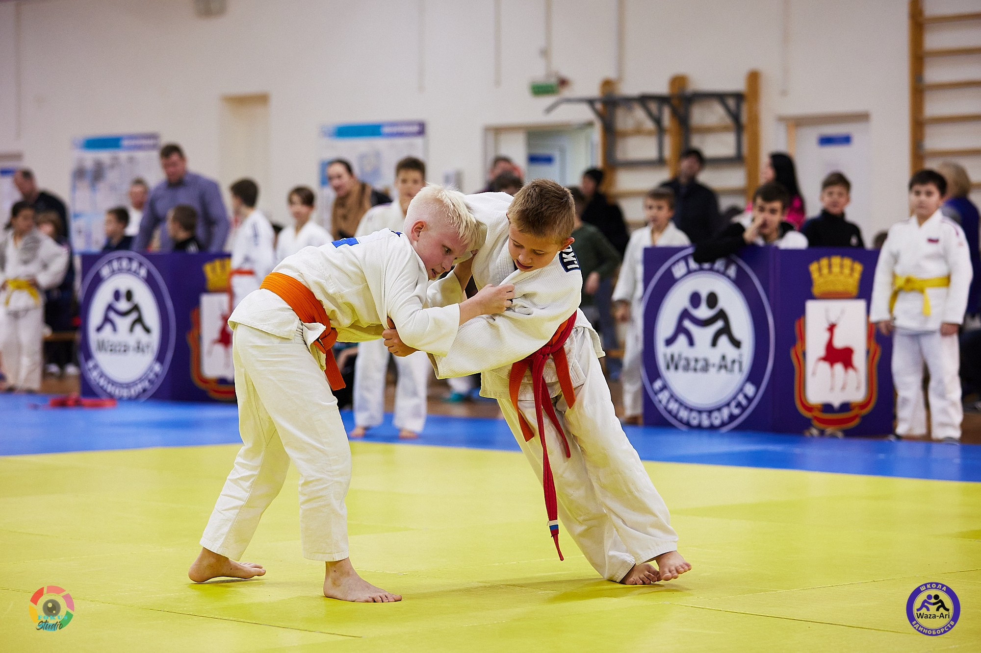 Репортаж Турнир по дзюдо. Спортивный фотограф Некрасов Денис