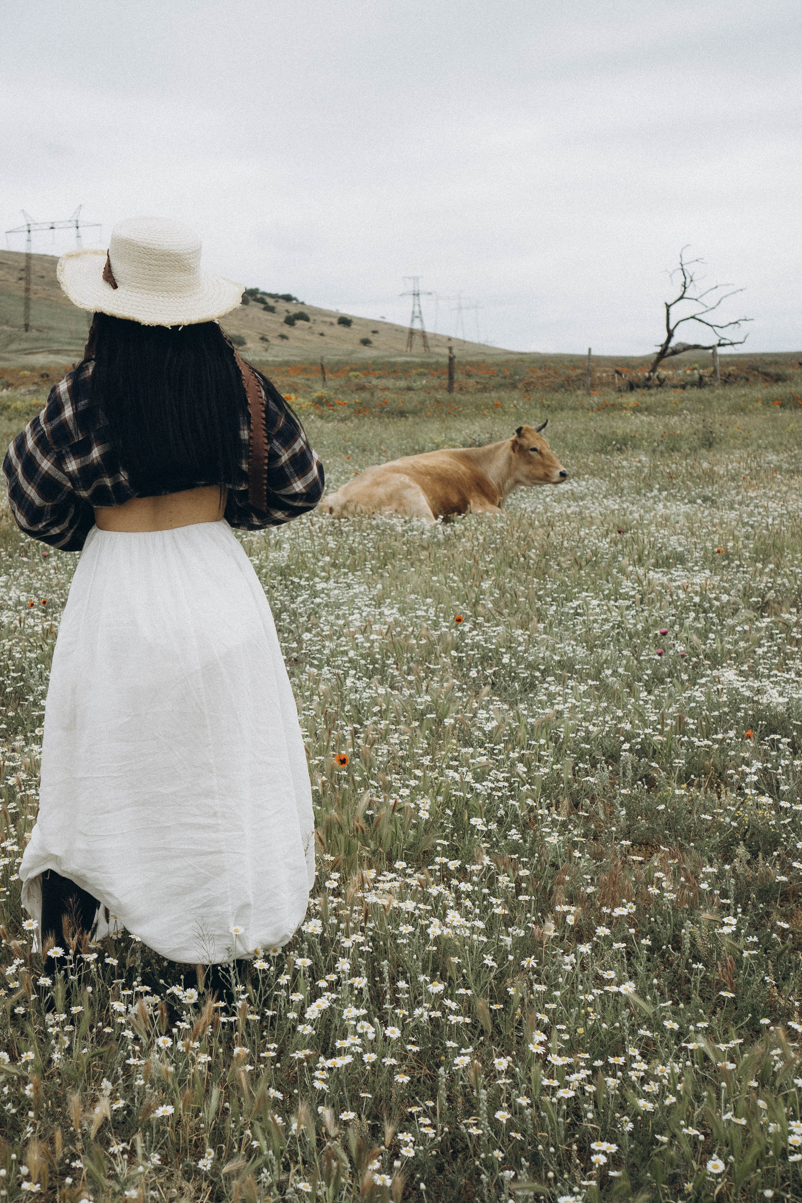 Маковое поле. Профессиональный фотограф, Санкт-Петербург — Виктория Богомолова
