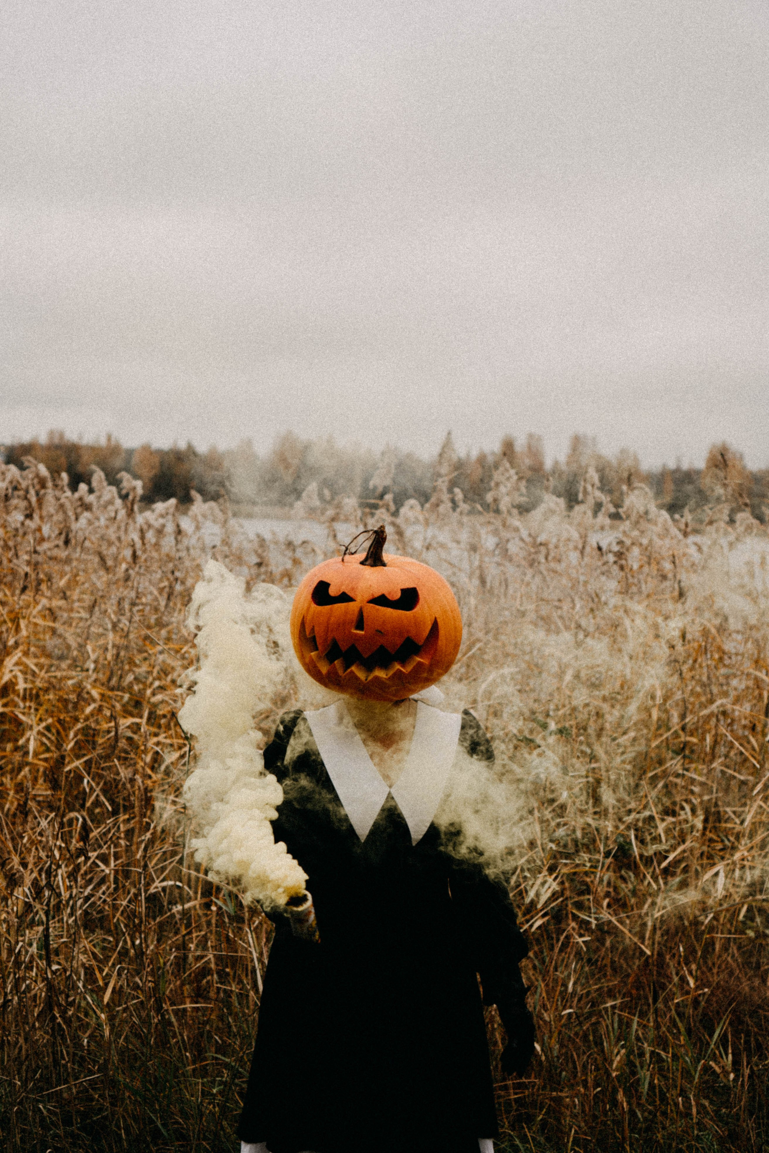 Осеняя. Профессиональный фотограф, Санкт-Петербург — Виктория Богомолова
