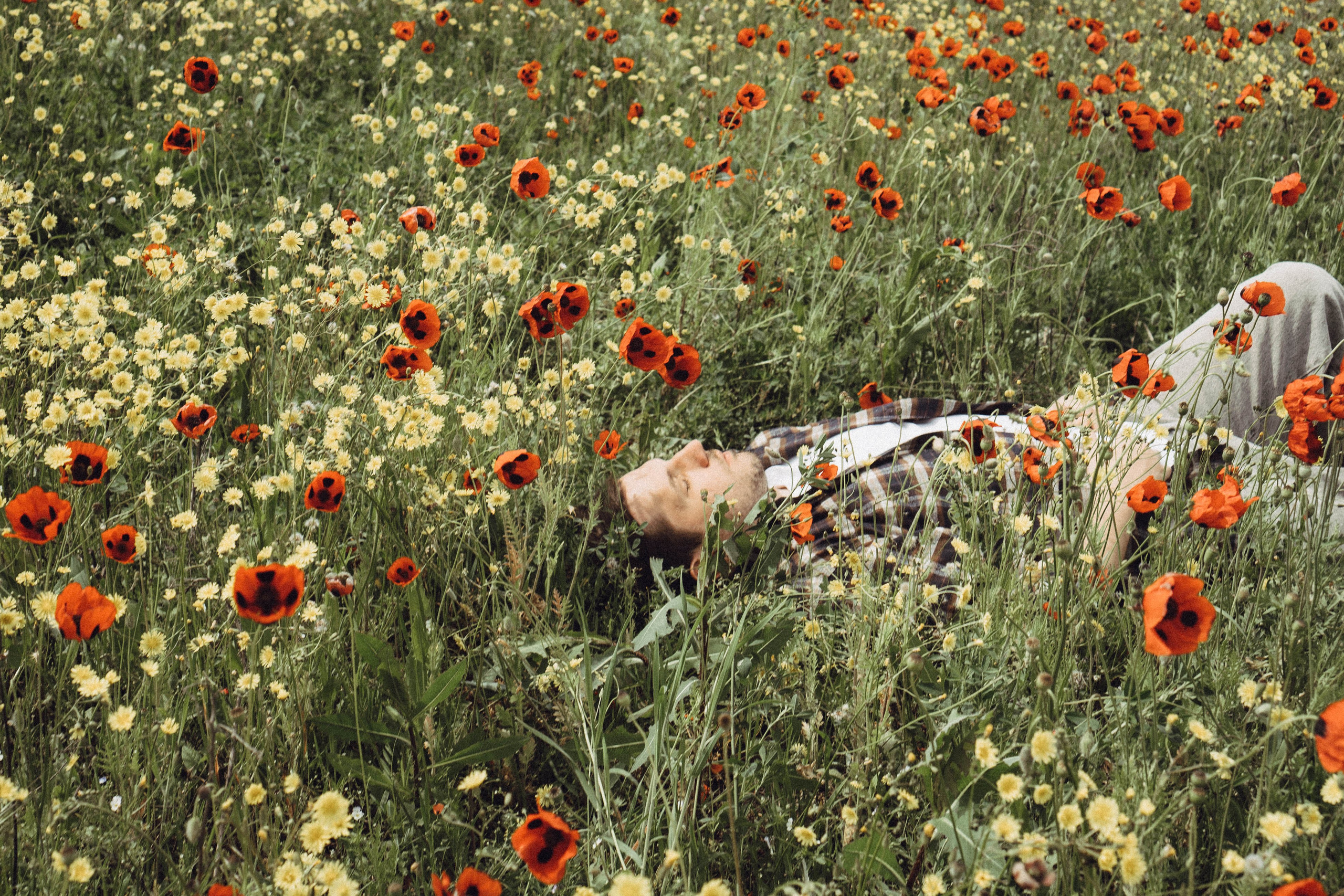 Маки. Профессиональный фотограф, Санкт-Петербург — Виктория Богомолова