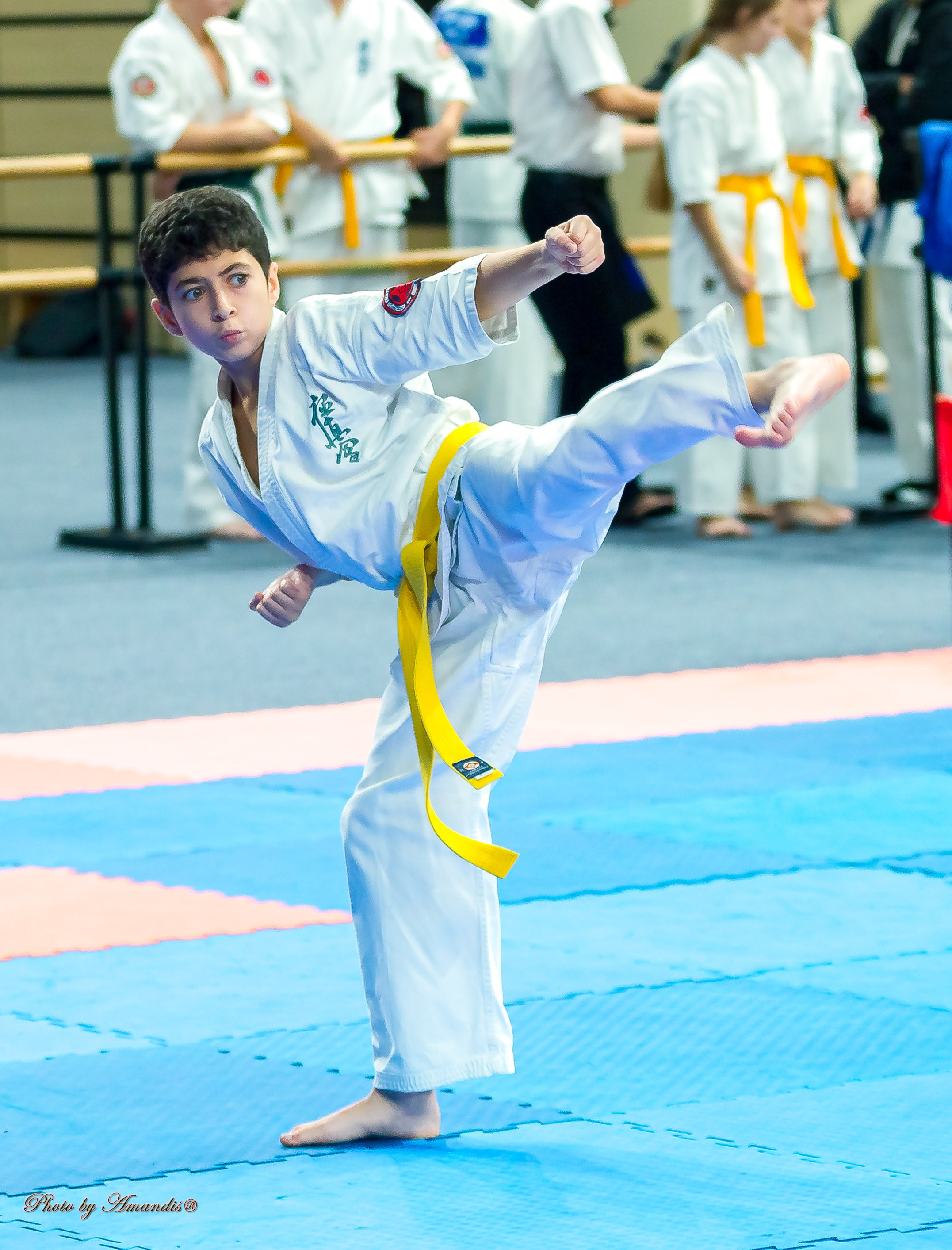 Первенство Московской области по Киокушин в СК «Жаворонки». Репортажная съемка в Москве и области. Анималистика