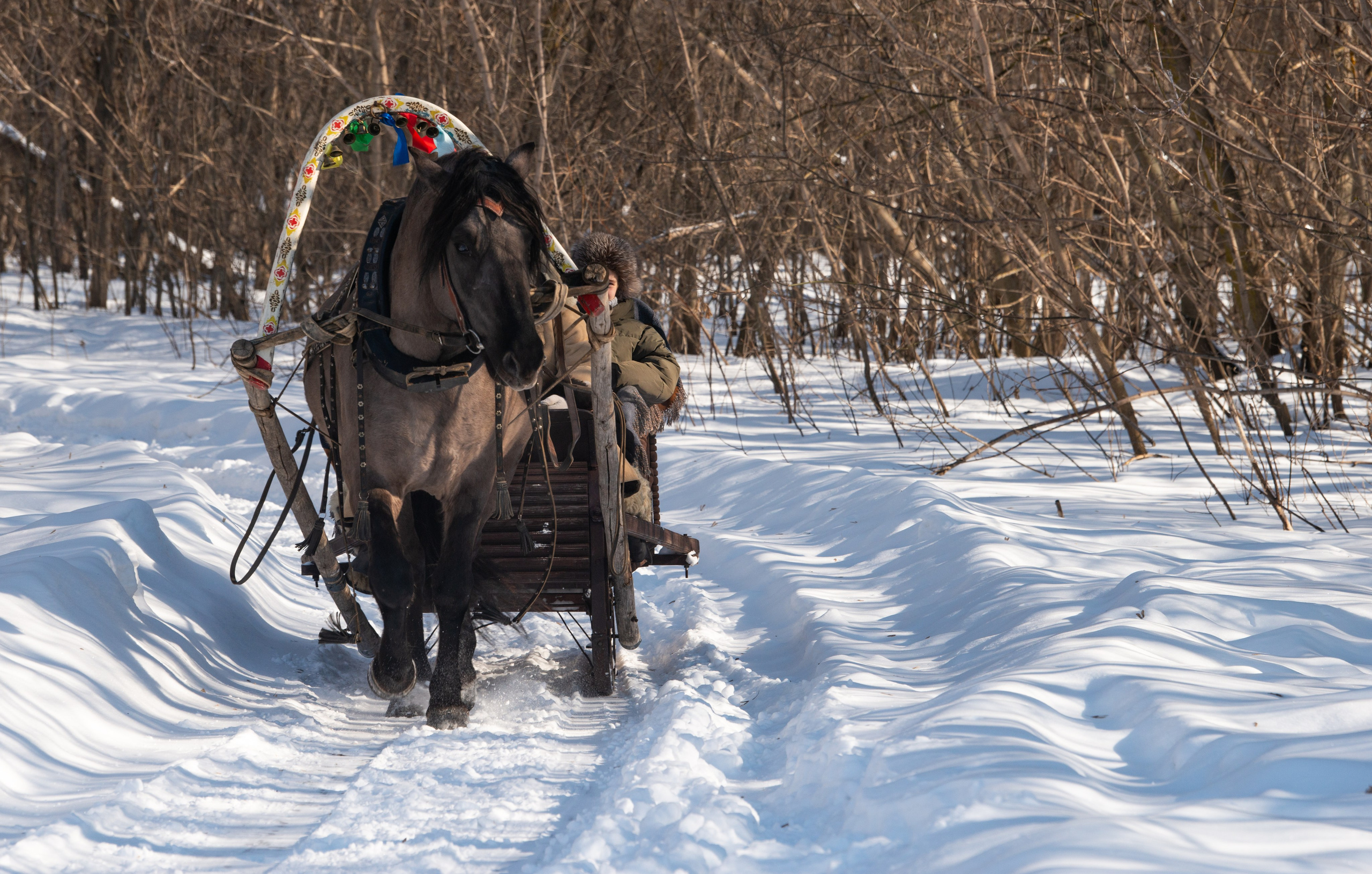 Масленичные гулянья в Боковке. Конный фотограф в Саратове Юлия Иванова