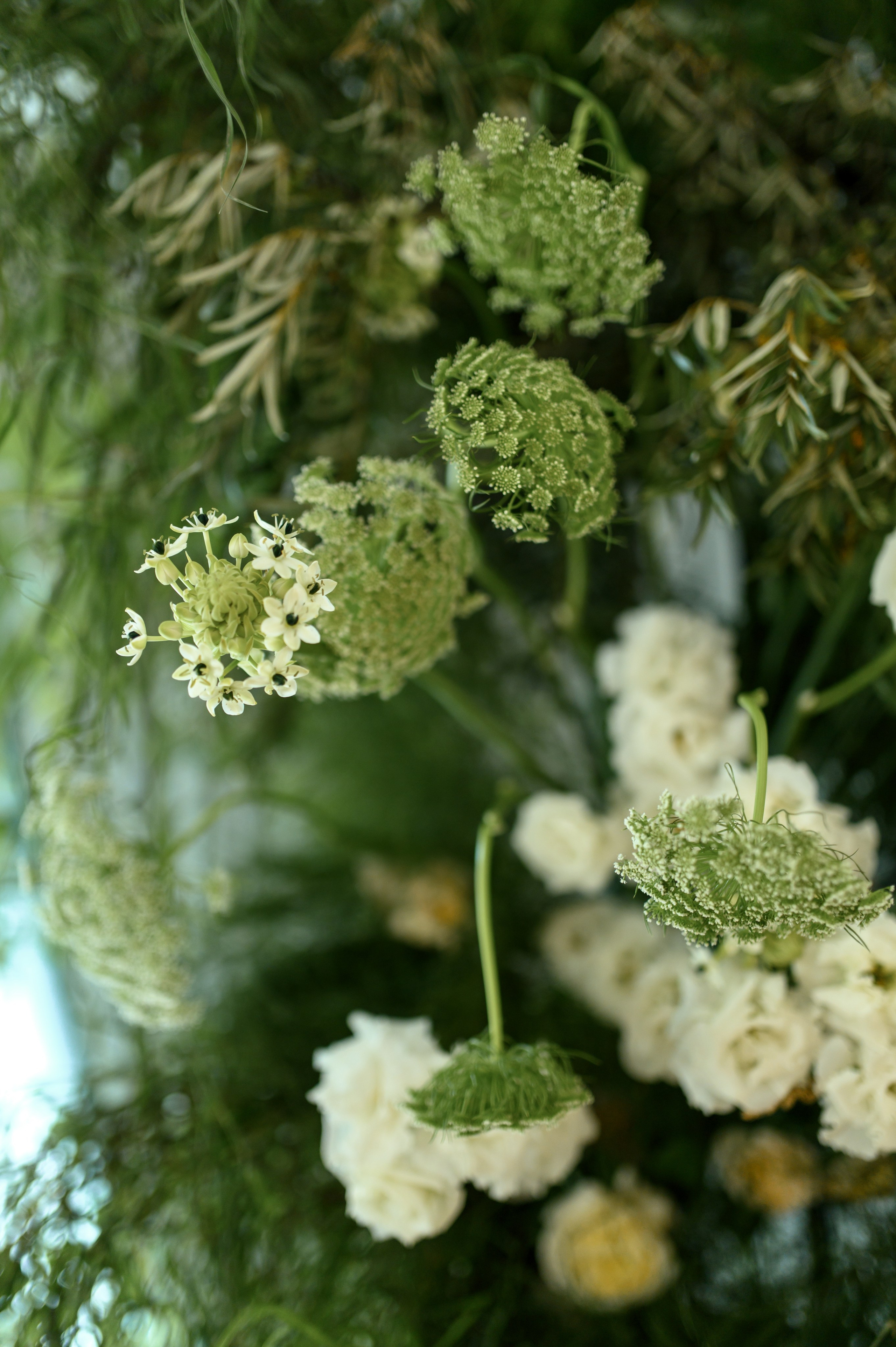 ЛМЛ. Свадебный и портретный фотограф в Санкт-Петербурге Ирина Келина