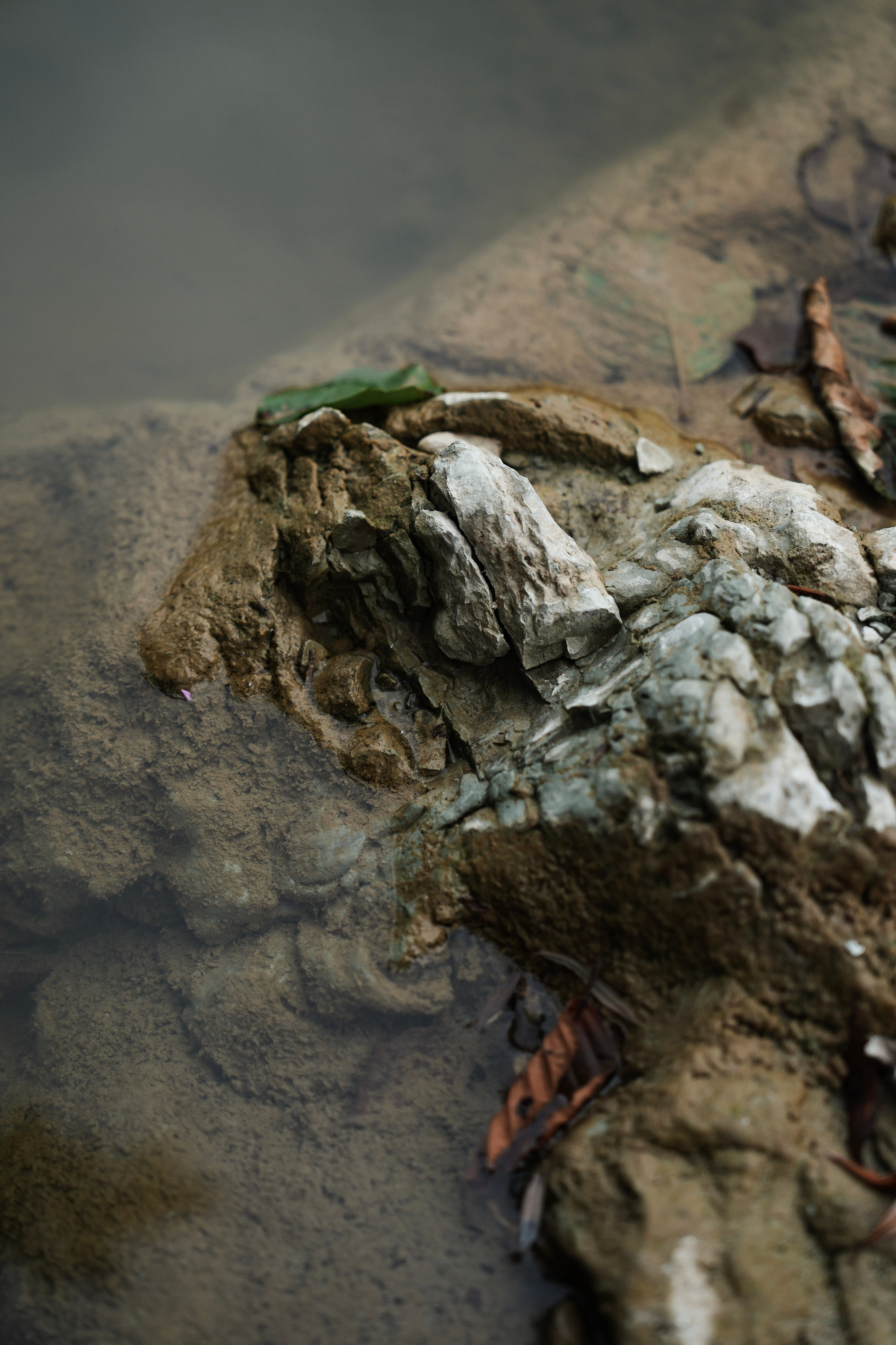 Инна в лесу. Фотограф с психологическим образованием