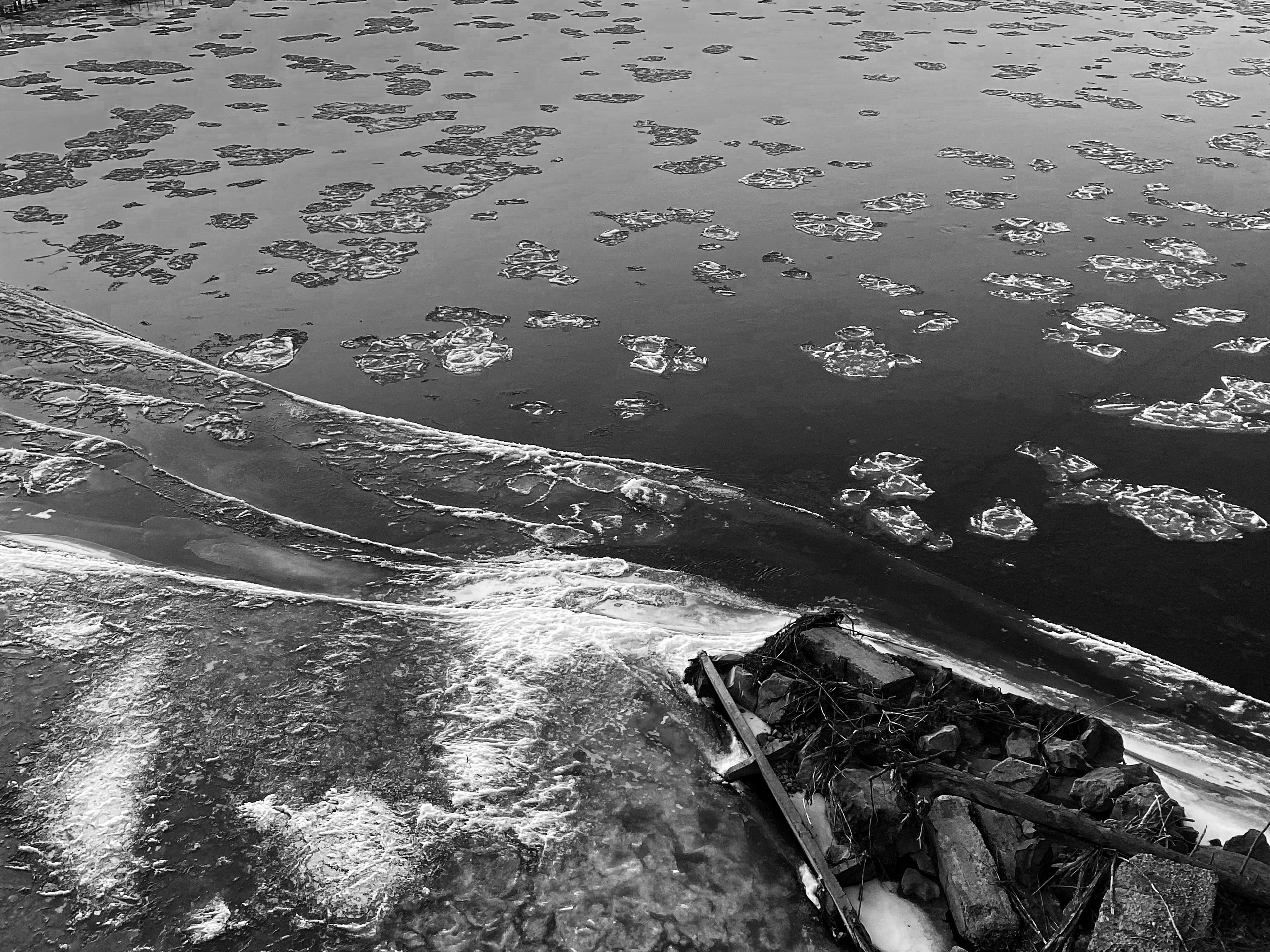 2025 год. Тащилин Сергей. Фотографии. Жизнь. Хобби