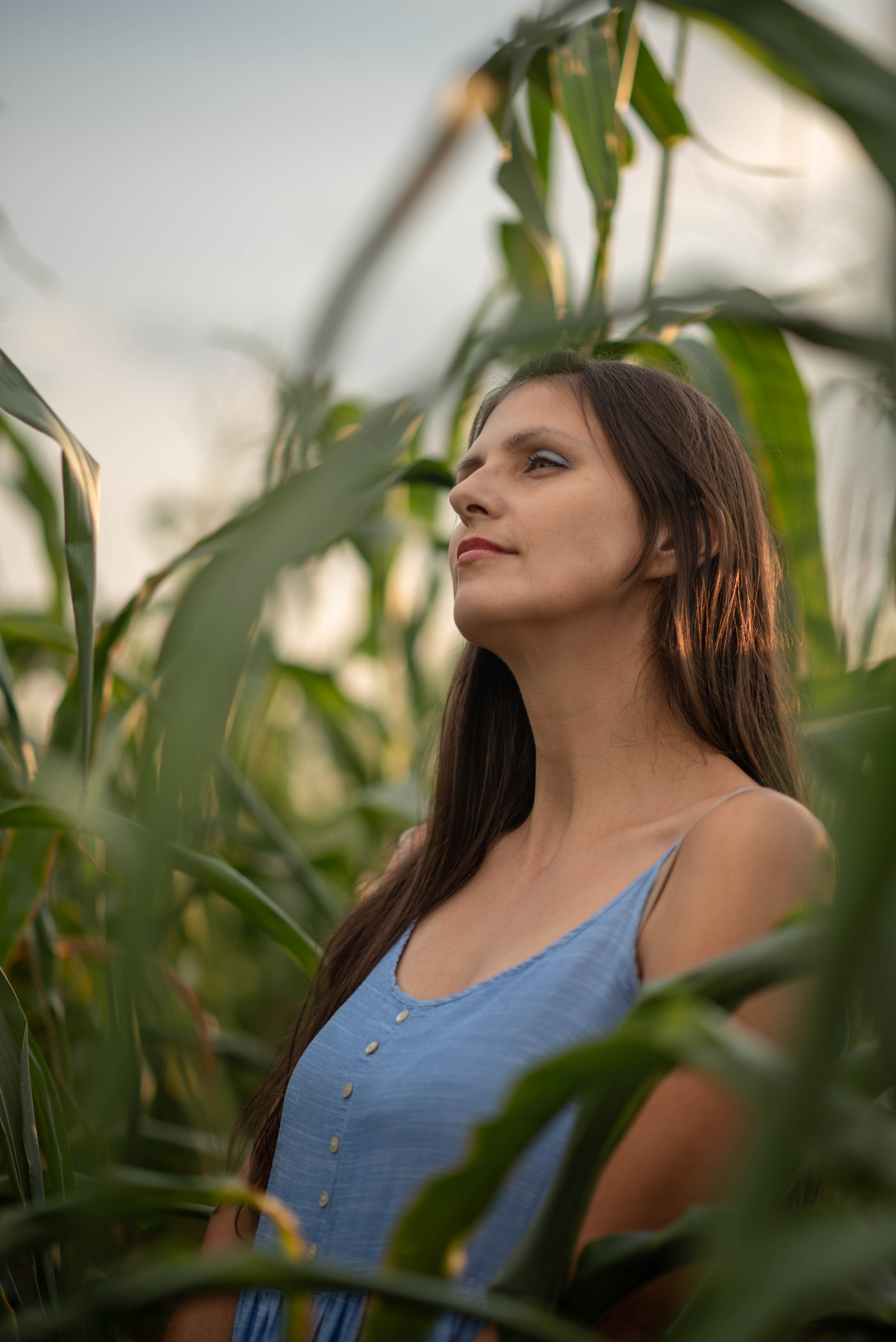 Съемка для Лилии в кукурузе. Семейный и детский фотограф Оля в Тюмени