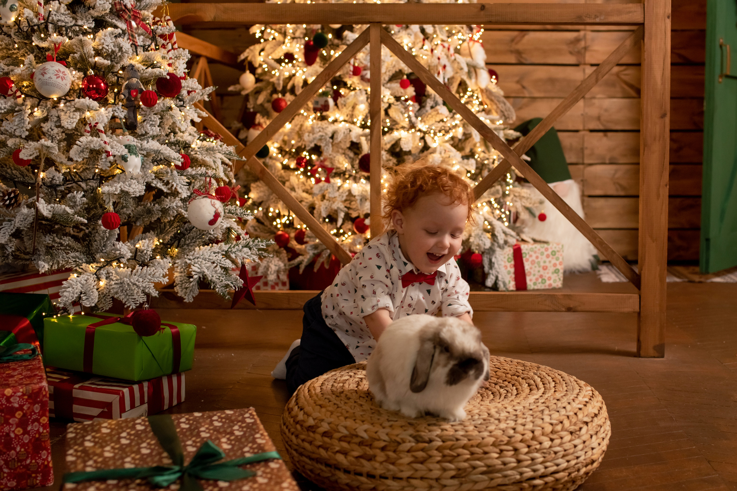 Близнецы Иосиф и Арон. Семейный и детский фотограф Оля в Тюмени
