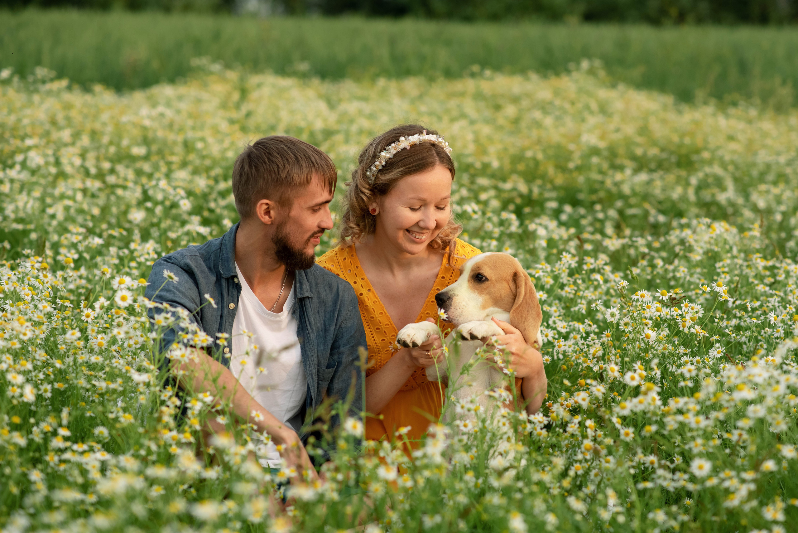 Миша, Настя и Рафаэль в ромашках. Семейный и детский фотограф Оля в Тюмени