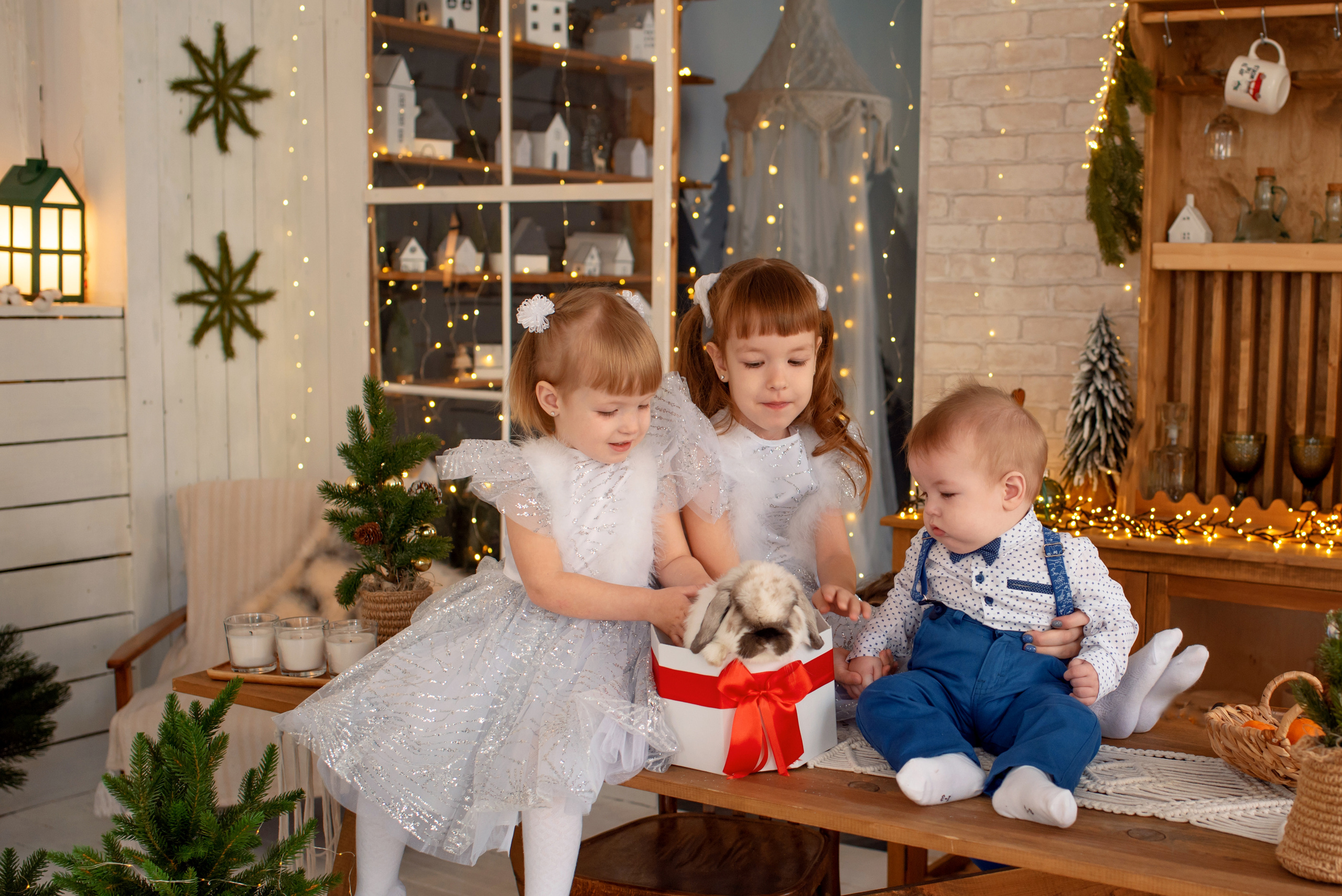 Ева, Кира и Аркаша с кроликом Бубликом. Семейный и детский фотограф Оля в Тюмени