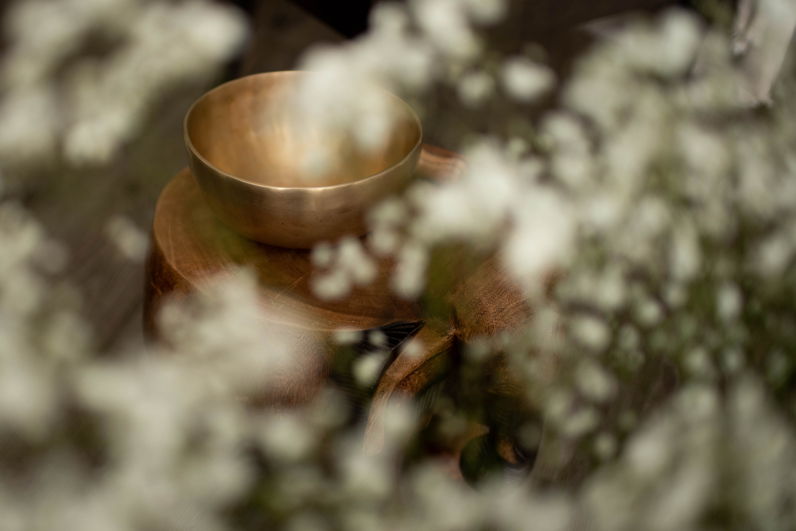 Лилия и ее звуковая чаша. Семейный и детский фотограф Оля в Тюмени