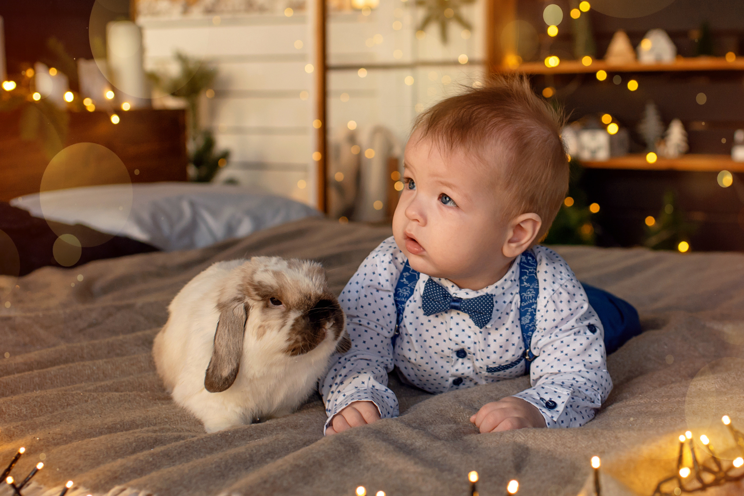 Ева, Кира и Аркаша с кроликом Бубликом. Семейный и детский фотограф Оля в Тюмени