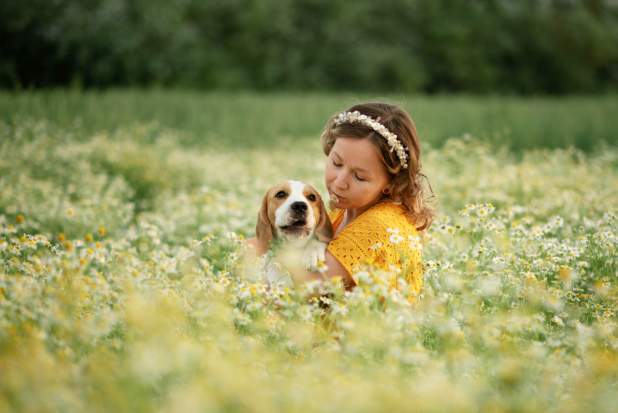 Миша, Настя и Рафаэль в ромашках. Семейный и детский фотограф Оля в Тюмени