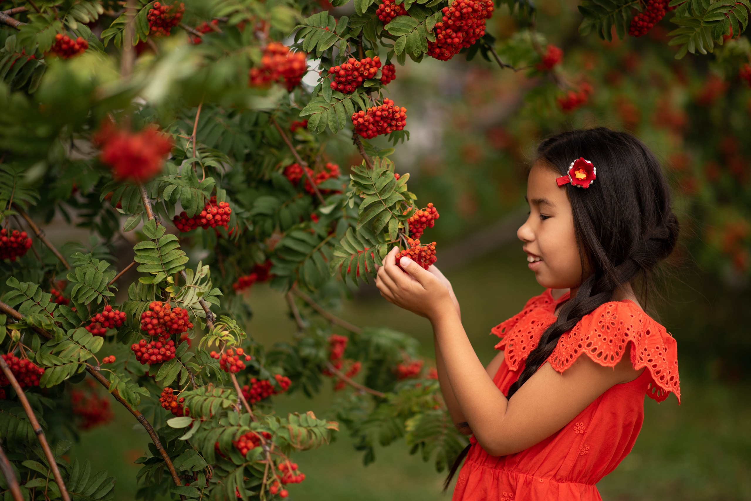 Ажар в рябинке. Семейный и детский фотограф Оля в Тюмени