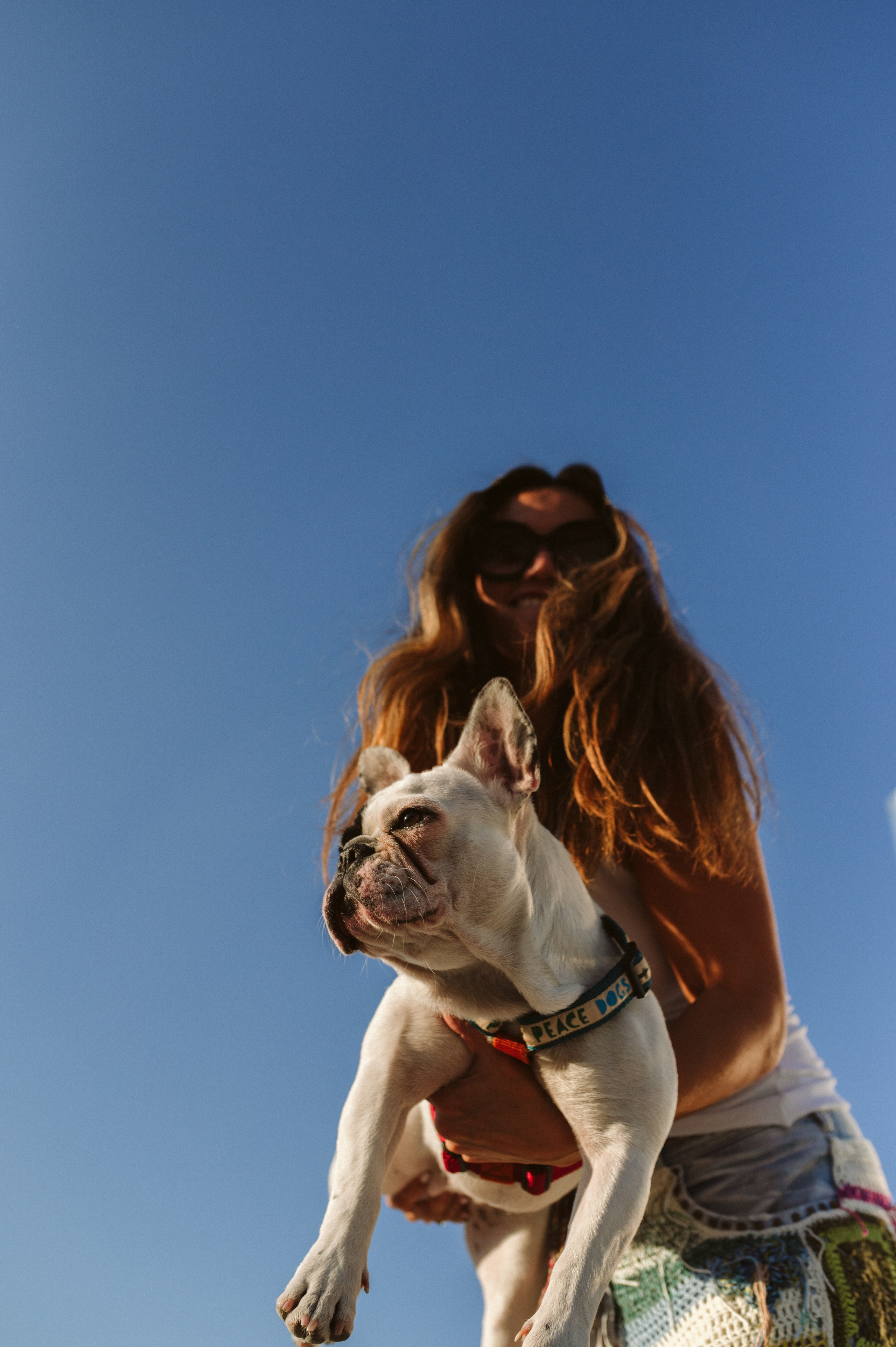 Инна и Белль. Фотограф анималист в Москве Ольга Агушева