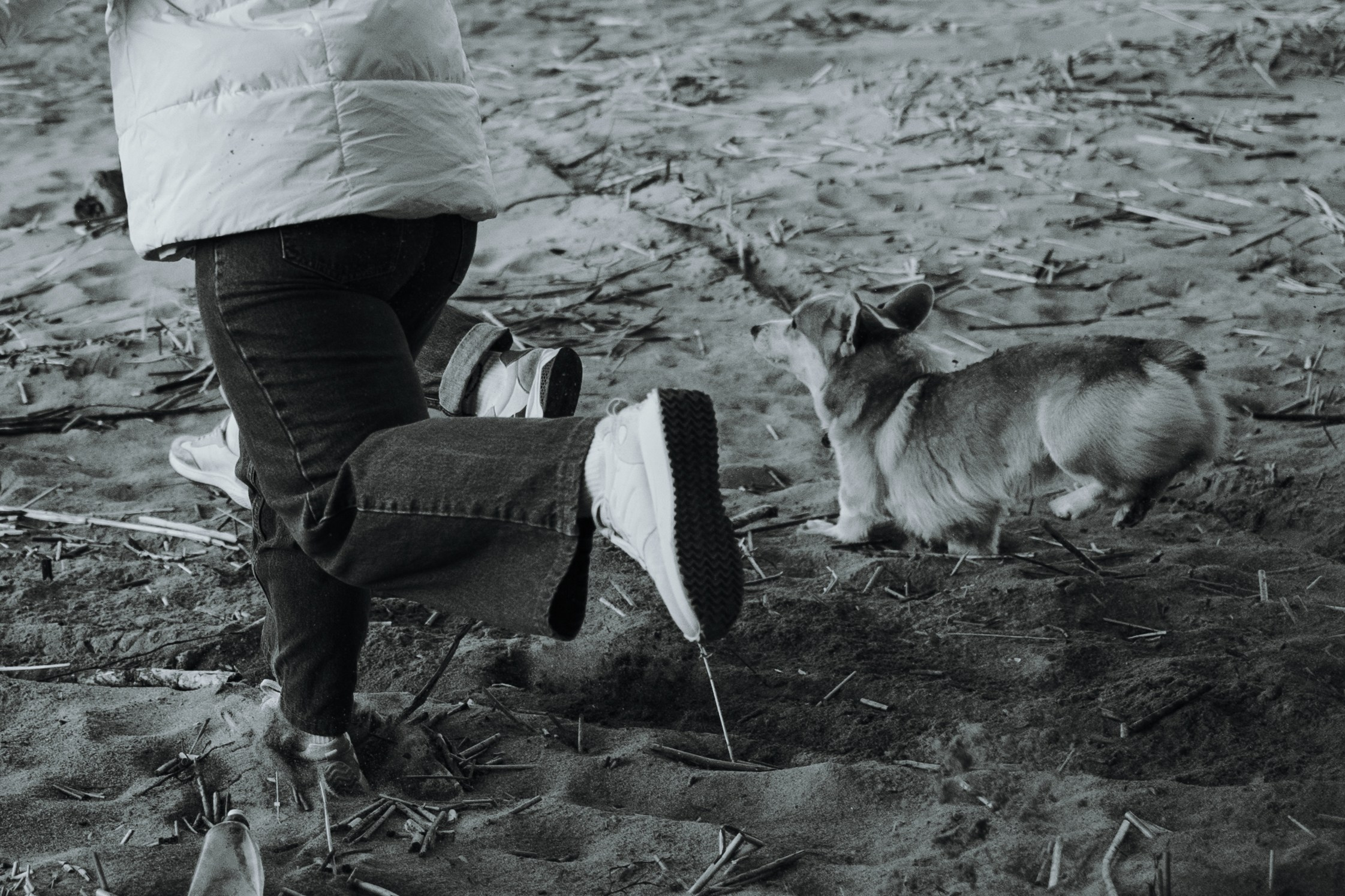 Найт и его семья. Фотограф — Анималист | Санкт-Петербург