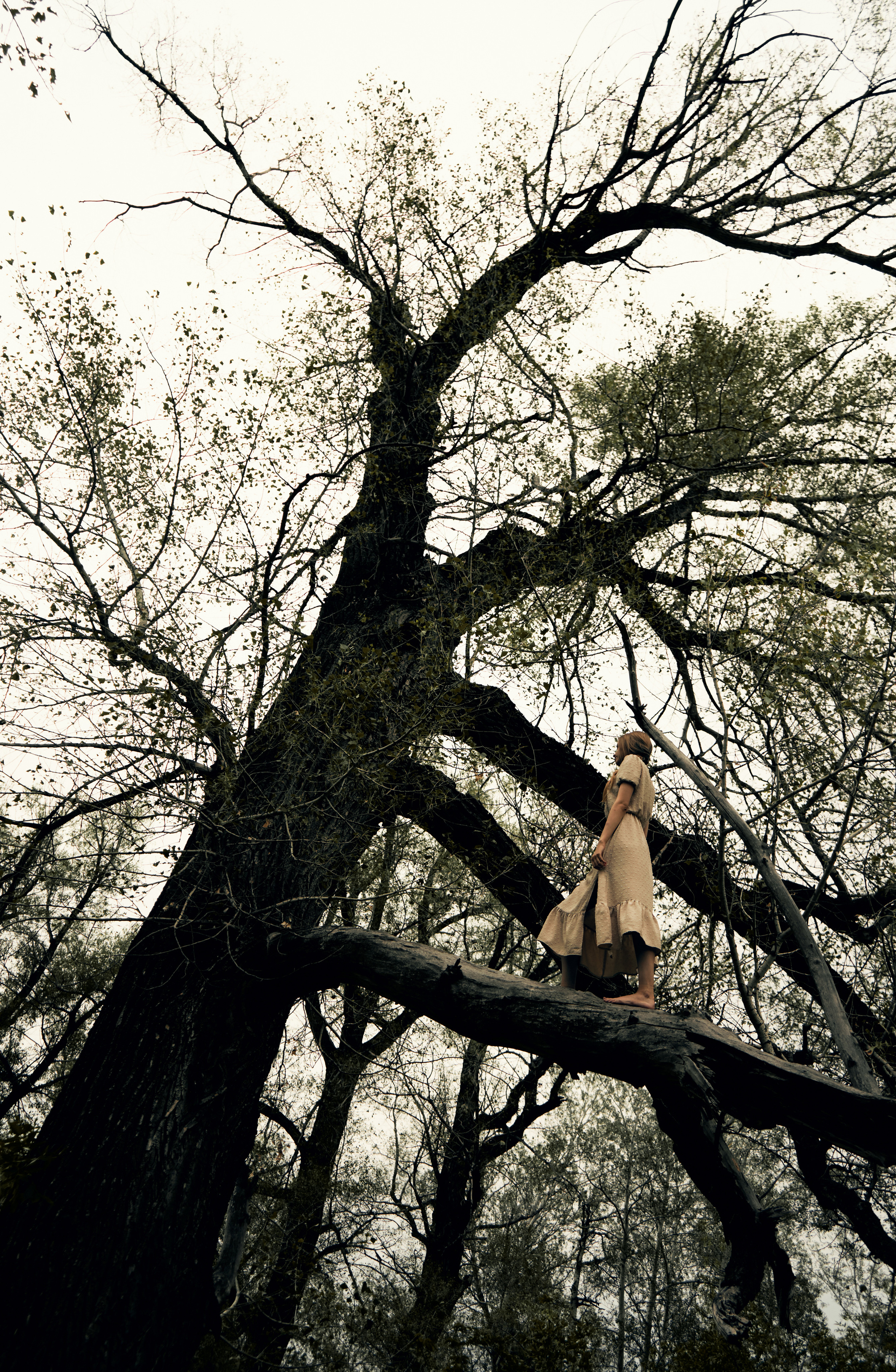 Работы. Фотограф Оренбурга Наружных Денис