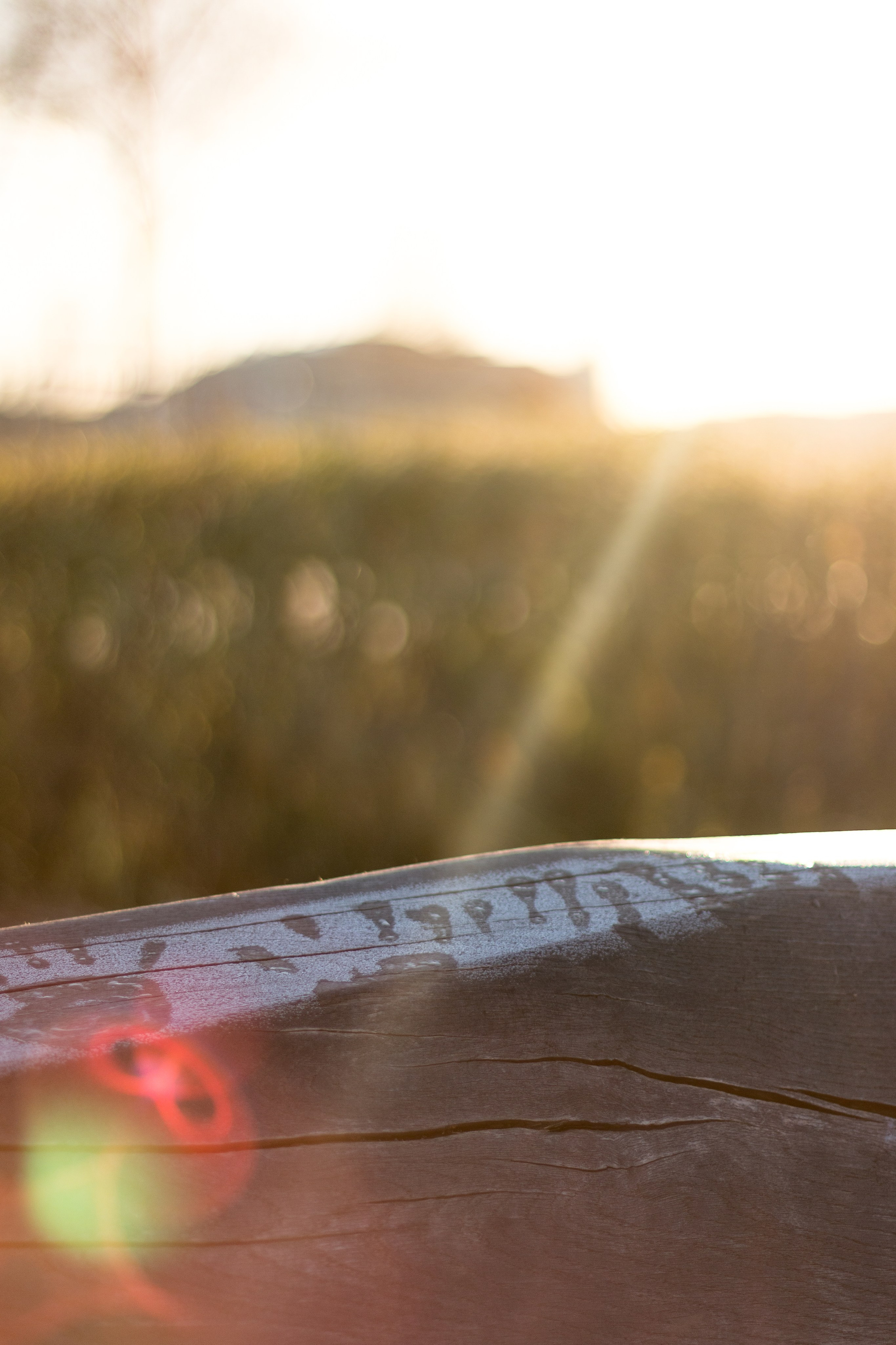 Москва. Фотограф в Сочи