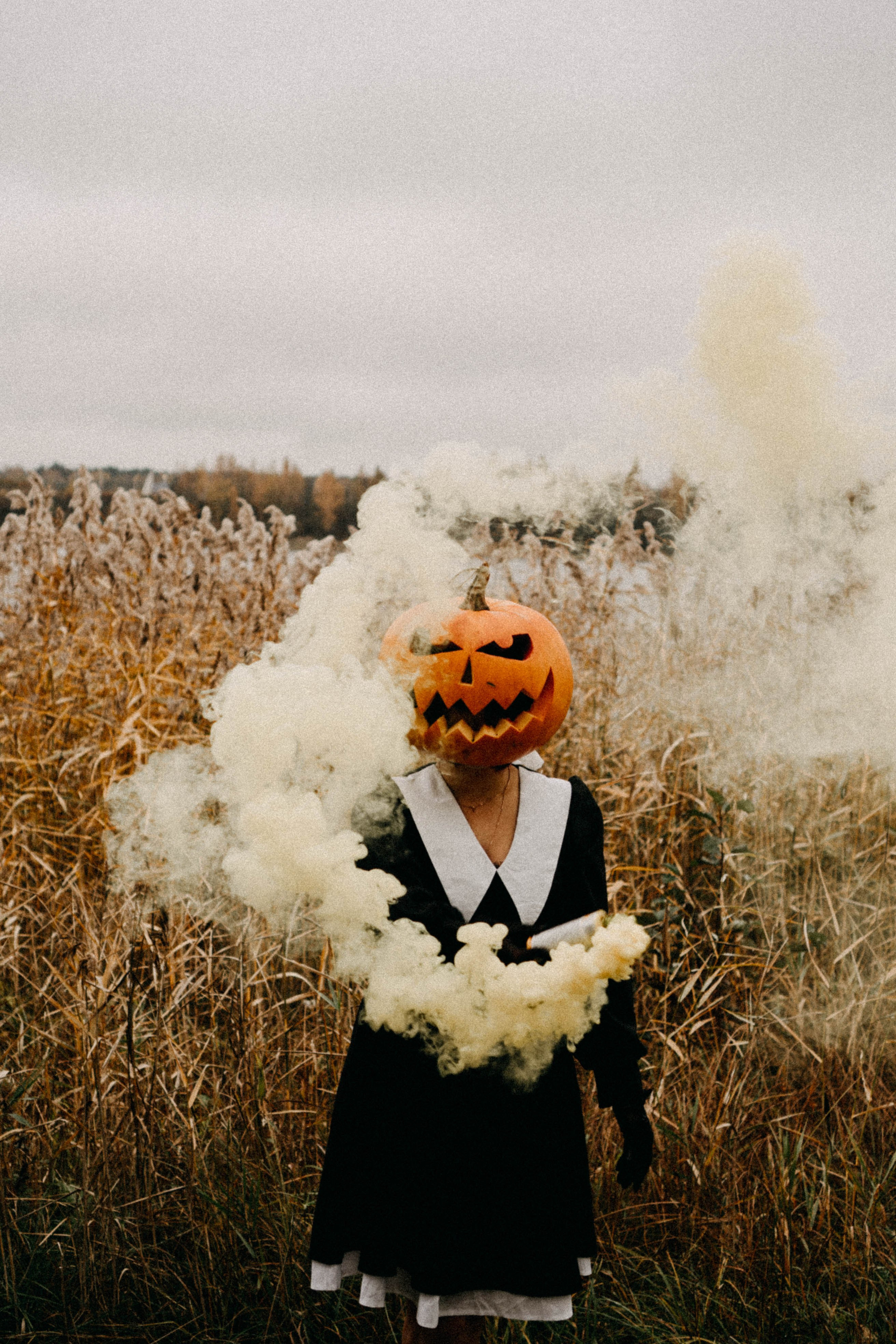 Осеняя. Профессиональный фотограф, Санкт-Петербург — Виктория Богомолова