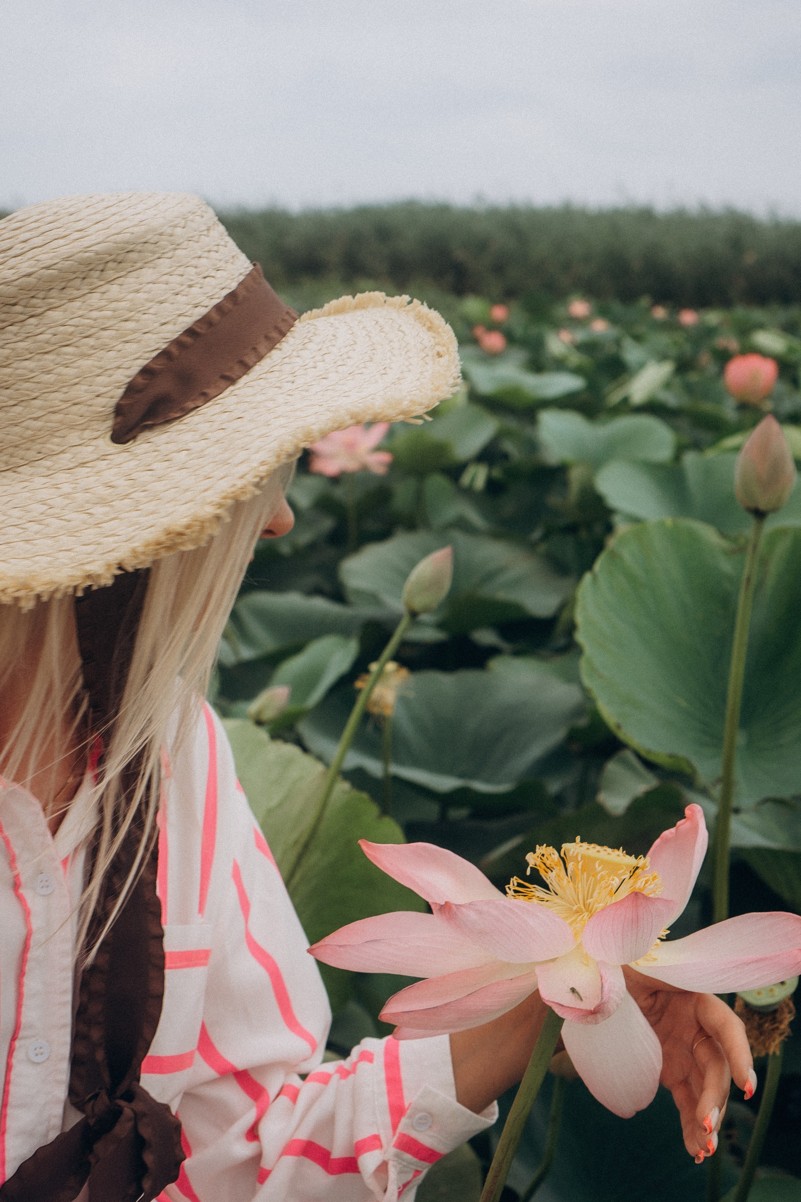 ЛОТОСОВАЯ ПОЛЯНА. Профессиональный фотограф, Санкт-Петербург — Виктория Богомолова