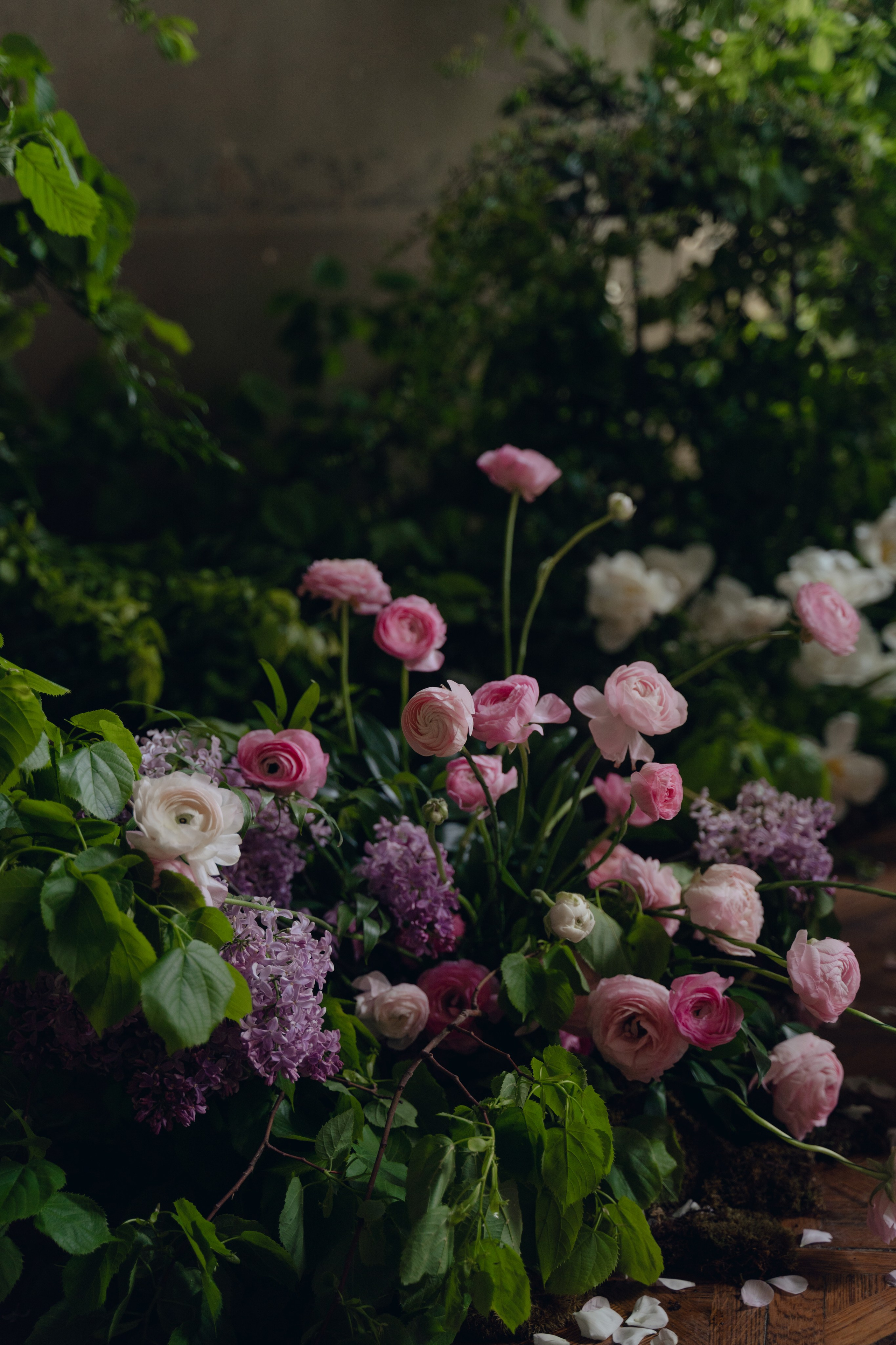 The Secret Garden. Портретный фотограф в Краснодаре Валерия Матирная