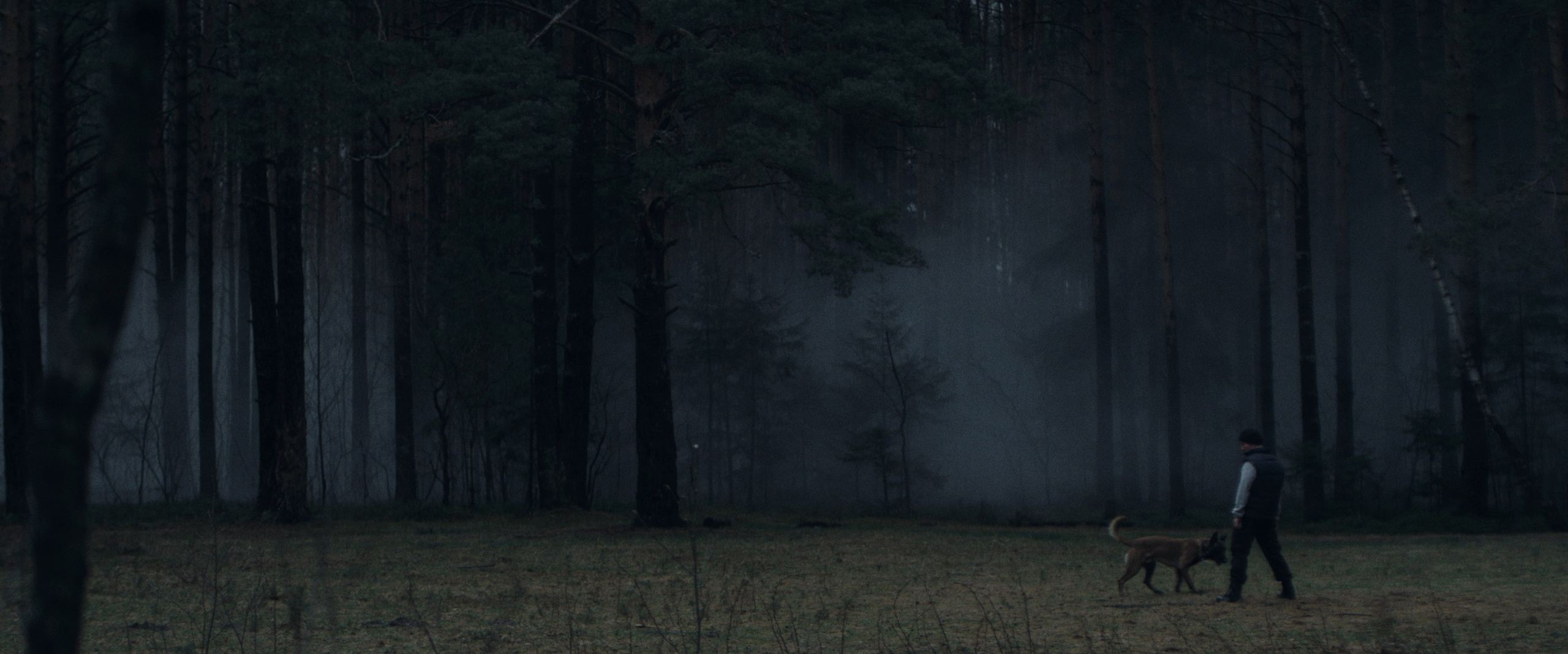 «ЗВЕРЬ» — short film. DANILA KOMKIN — Colorist