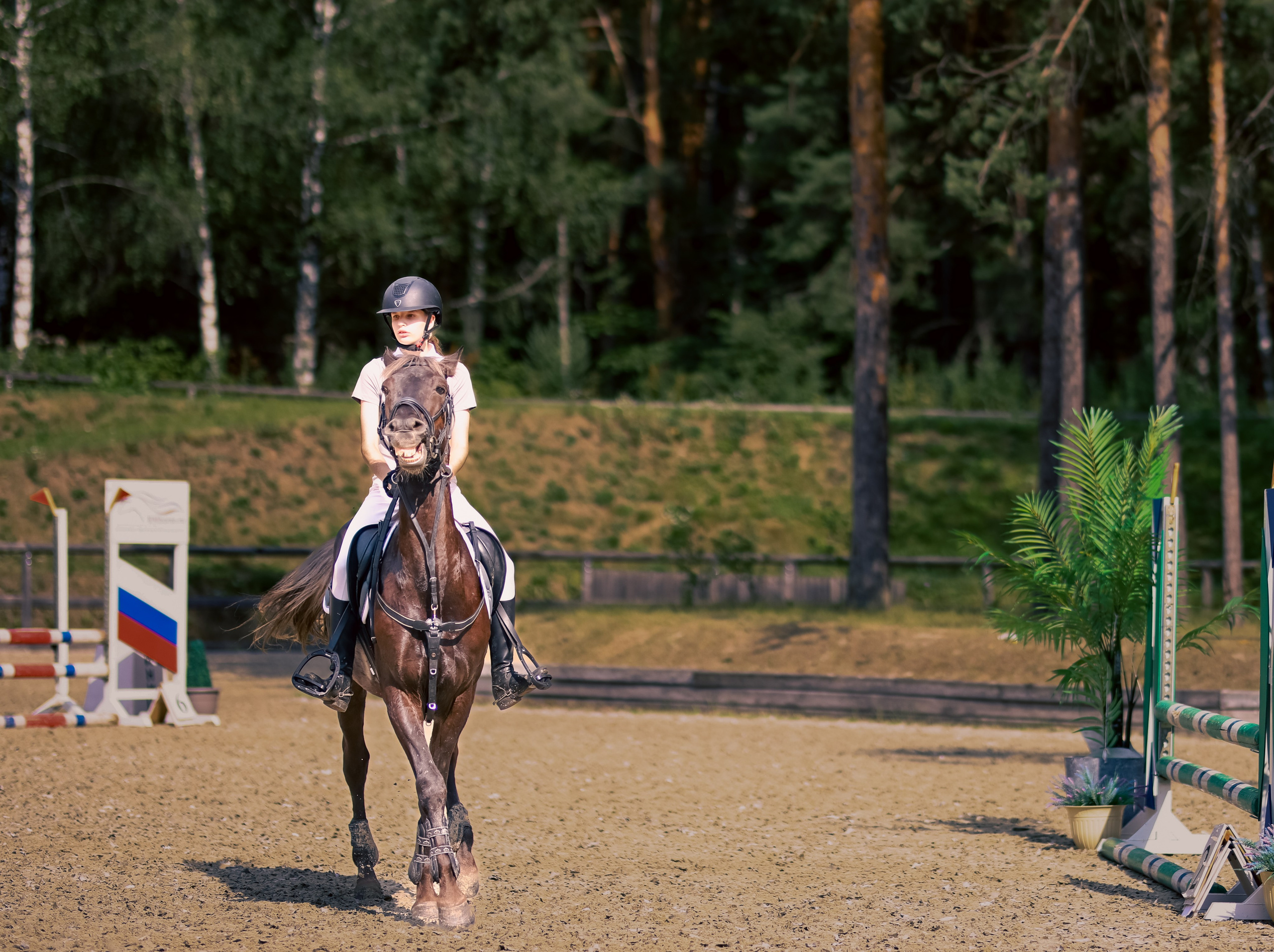 Лошади. Фотограф репортажей и стритфотосессий в Москве Людмила Смирнова