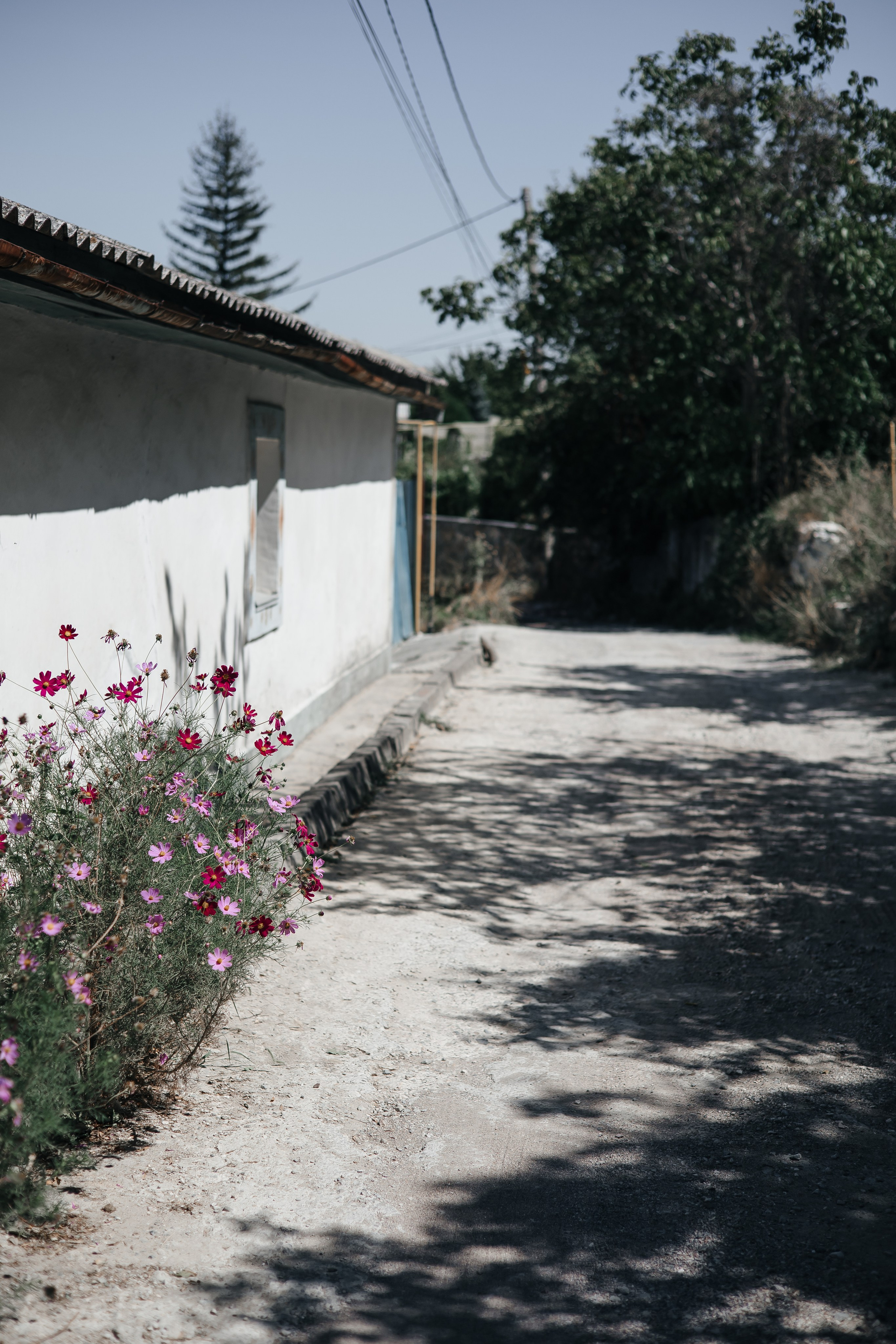 Кристина И Ивана. Главная