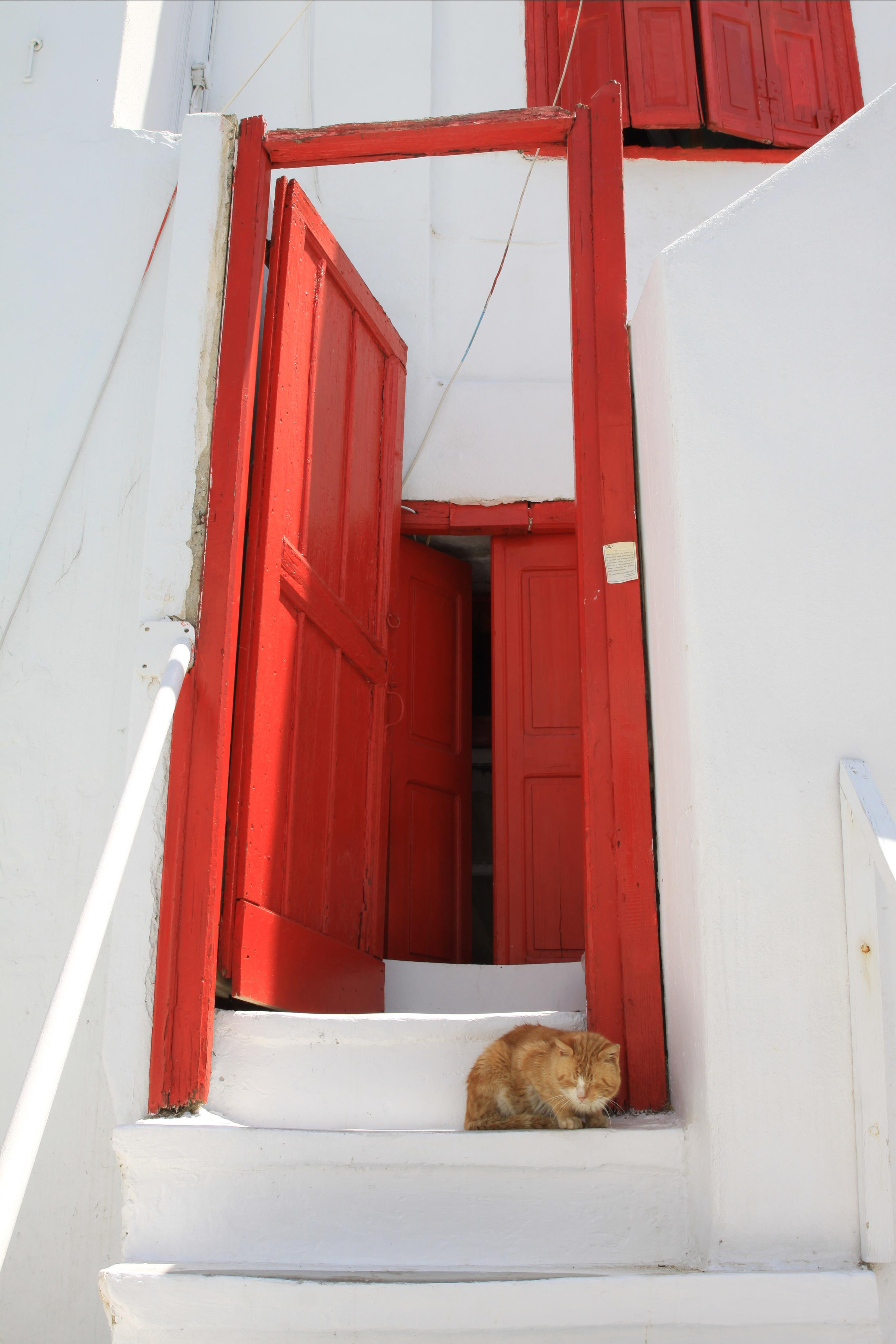 ПУТЕШЕСТВИЯ. Фотограф мероприятий Ирина Каширина