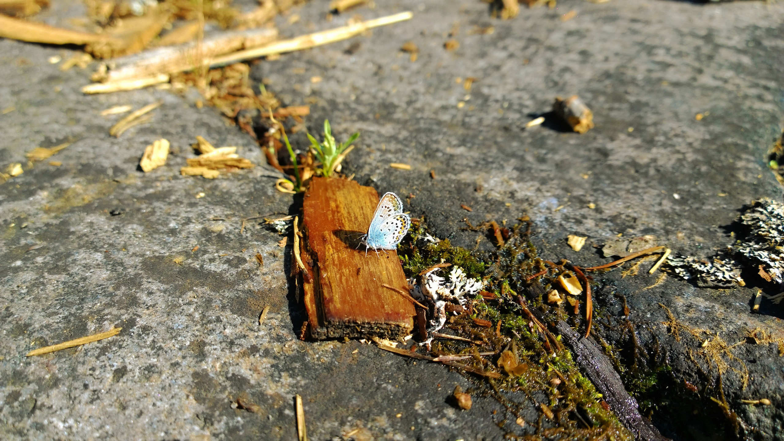 ПУТЕШЕСТВИЯ. Фотограф мероприятий Ирина Каширина