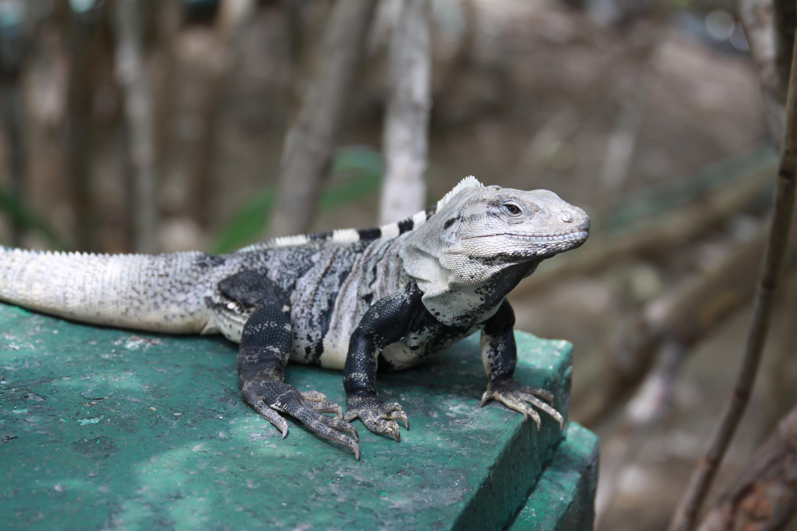 ПУТЕШЕСТВИЯ. Фотограф мероприятий Ирина Каширина