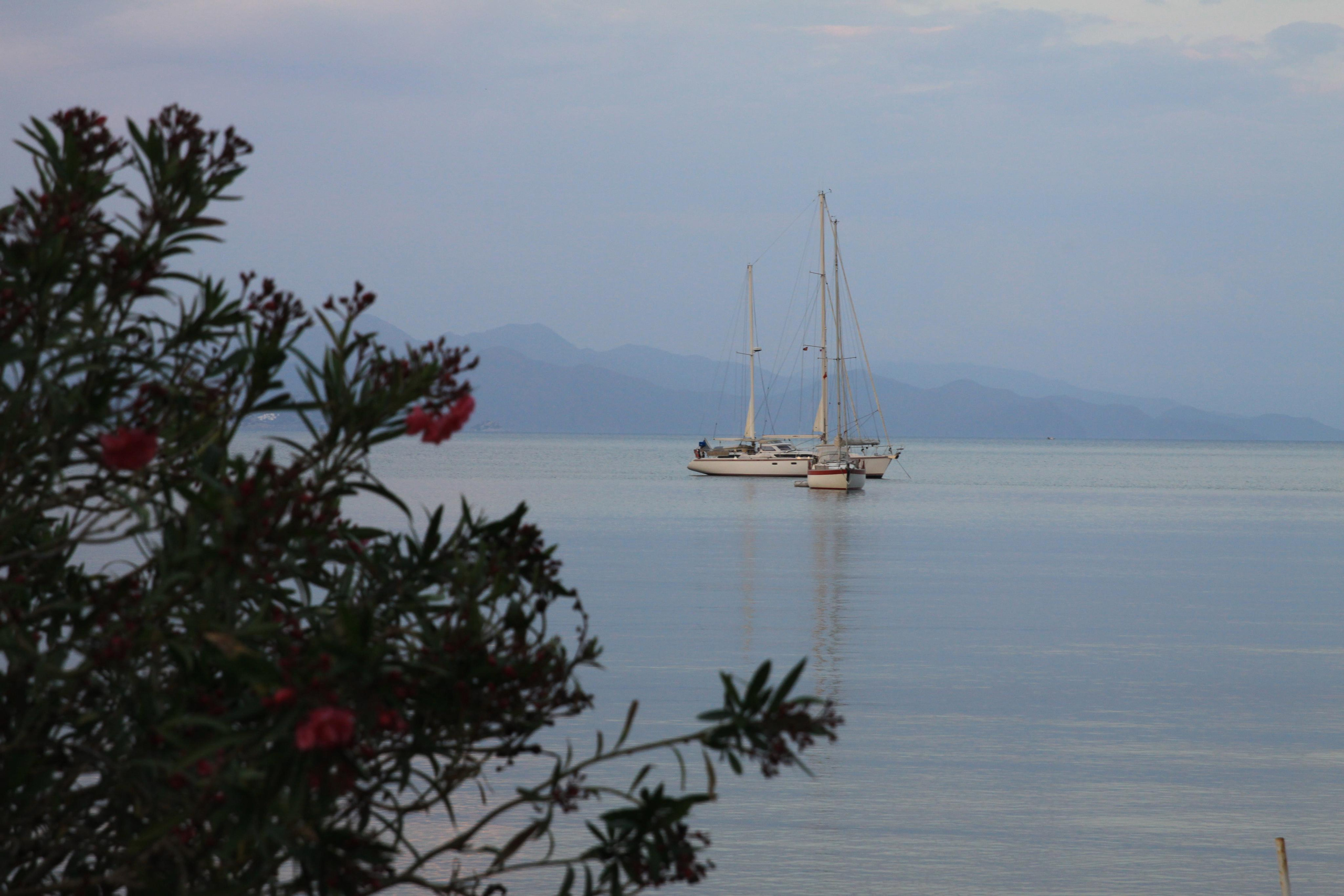 ПУТЕШЕСТВИЯ. Фотограф мероприятий Ирина Каширина