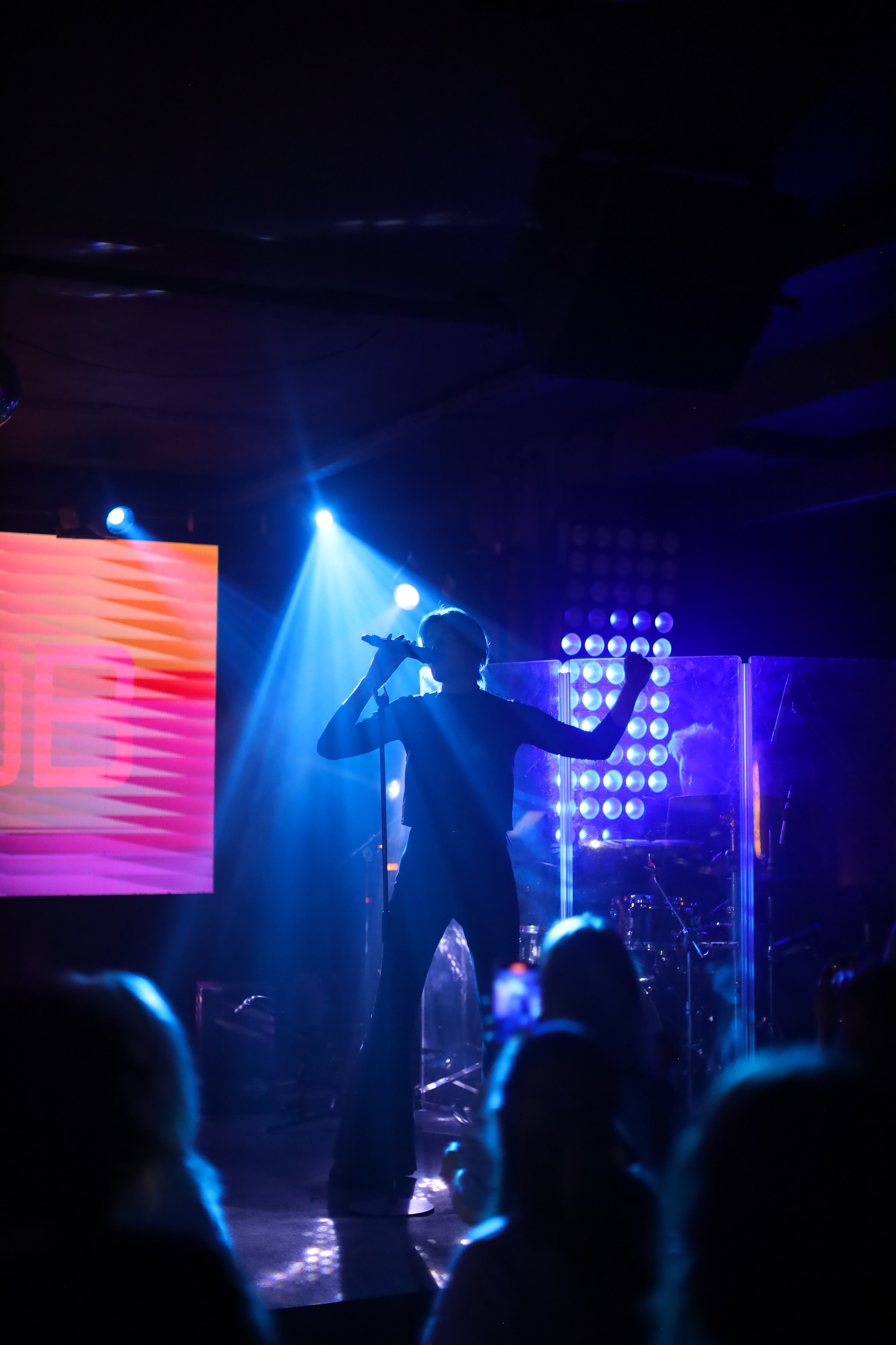 КОНЦЕРТЫ. Фотограф мероприятий Ирина Каширина