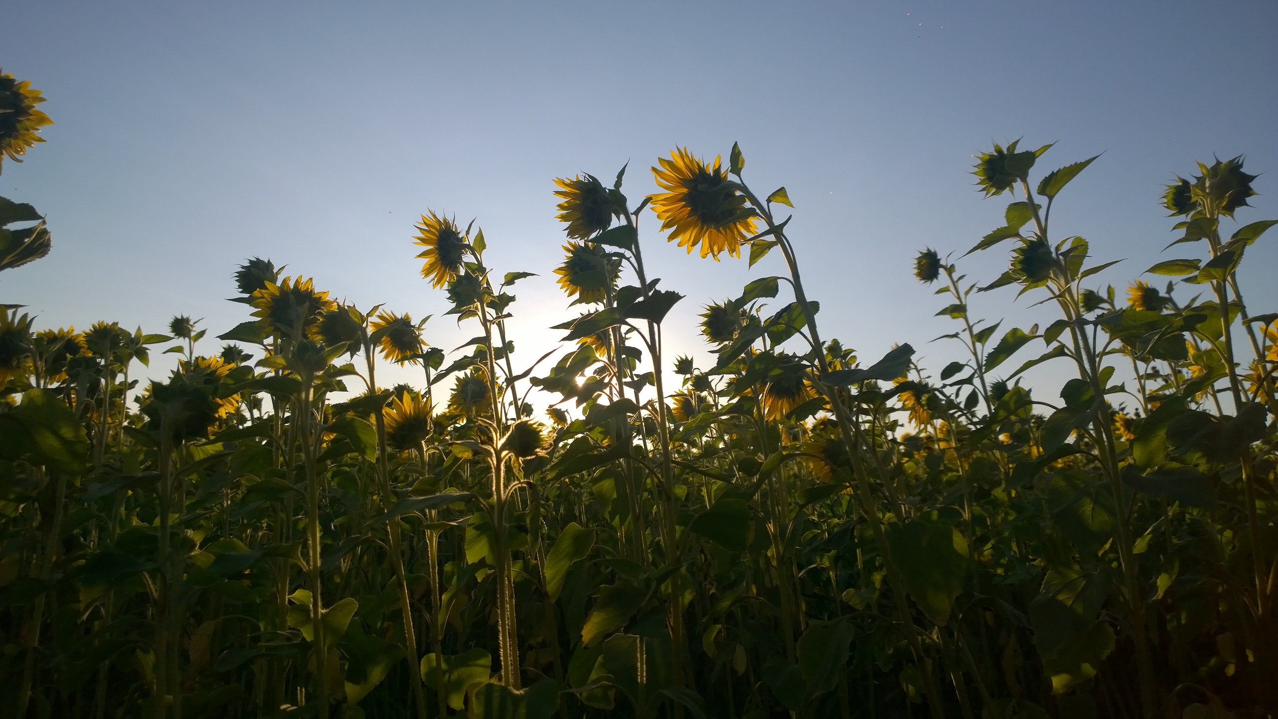 ПУТЕШЕСТВИЯ. Фотограф мероприятий Ирина Каширина