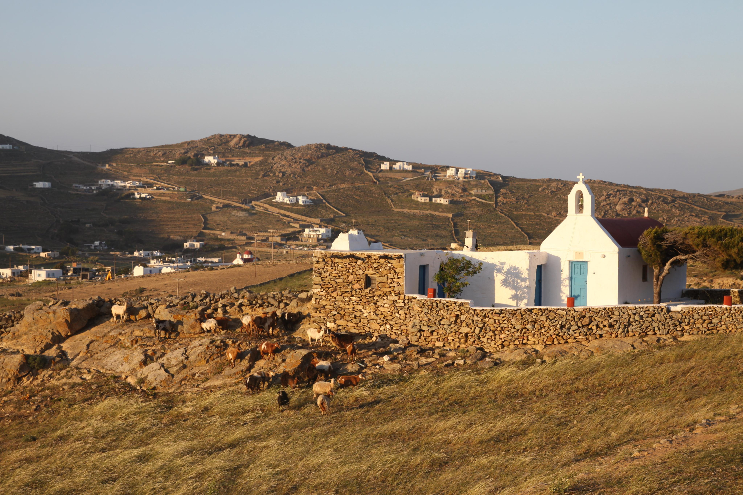 ПУТЕШЕСТВИЯ. Фотограф мероприятий Ирина Каширина